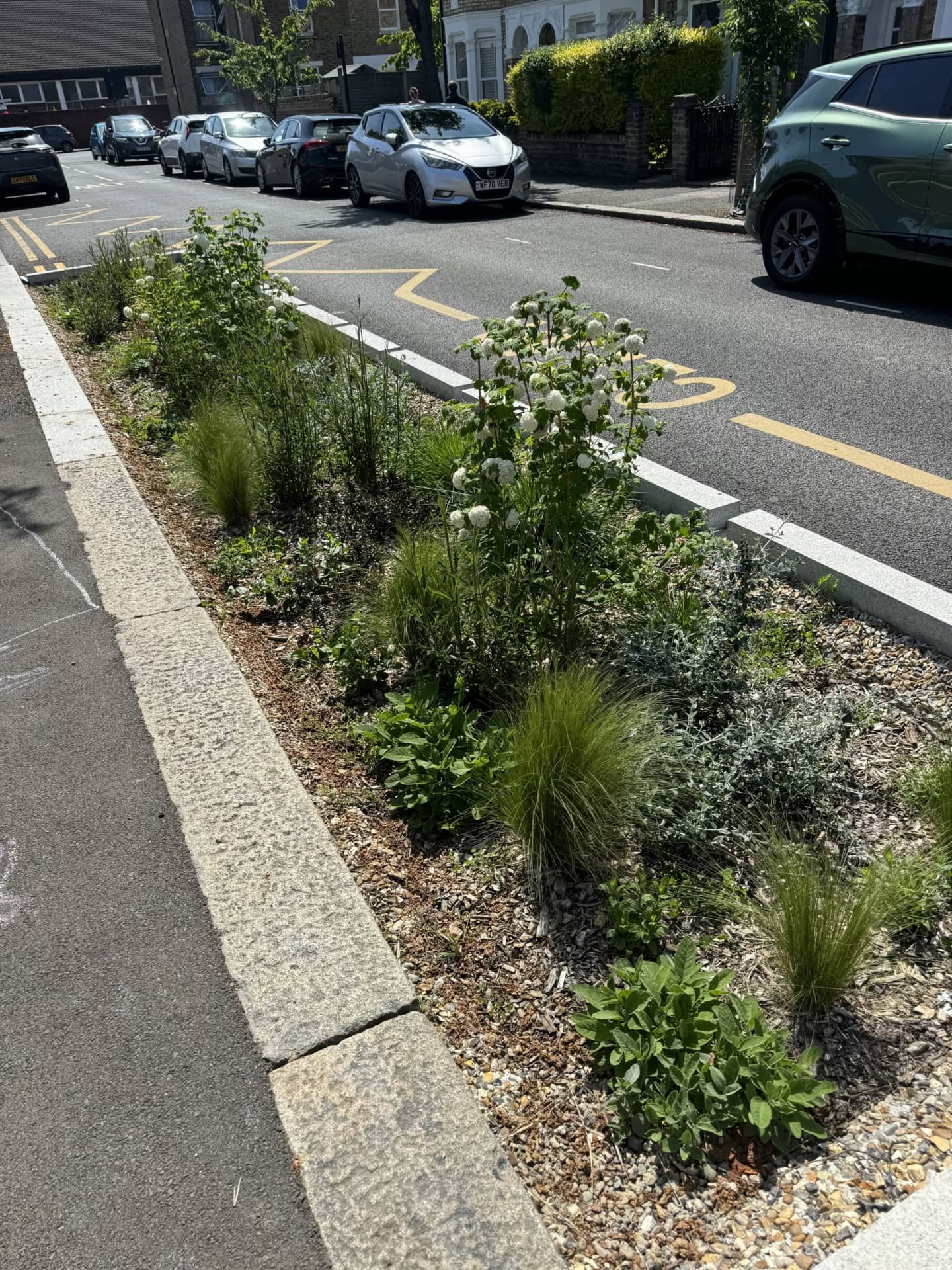 Brooke Road Rain Gardens