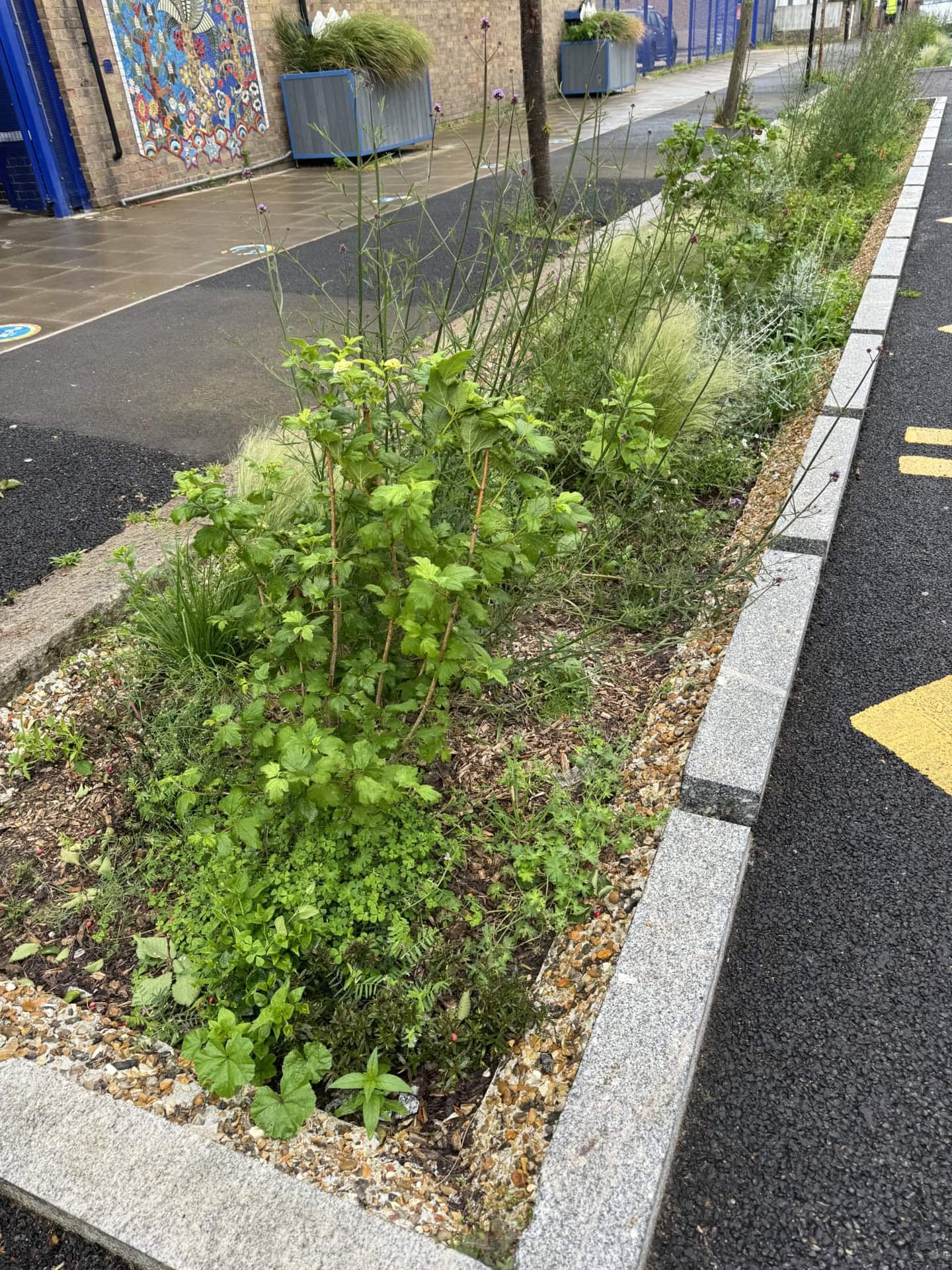 Brooke Road Rain Gardens