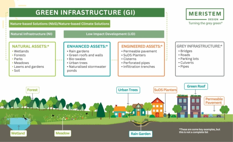 Green Infrastructure & Urban Resilience