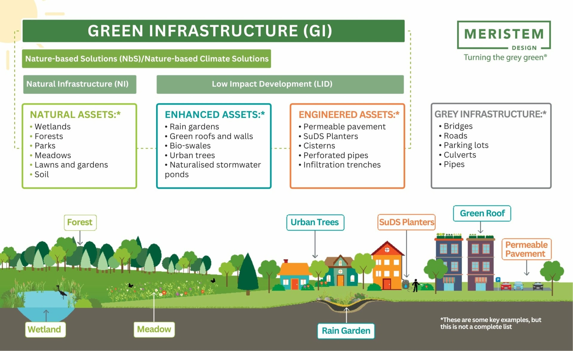 Green Infrastructure & Urban Resilience