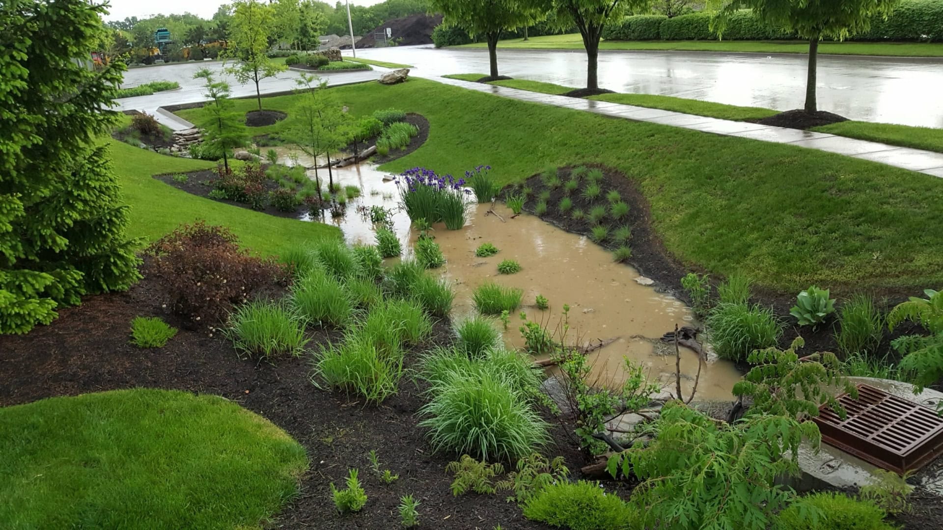 Rain Gardens Bioswales For Suds Photo Inspiration