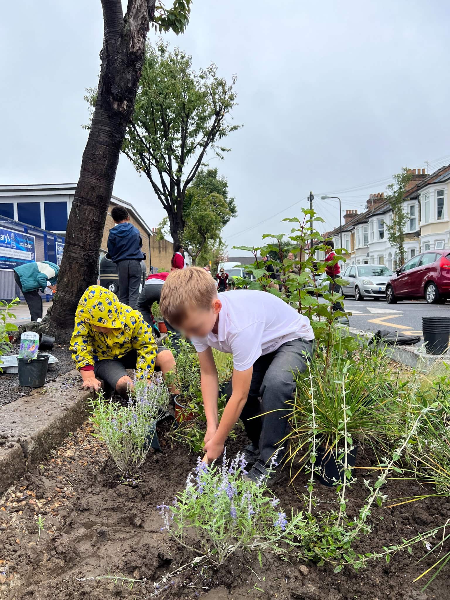 Brooke Road Rain Gardens