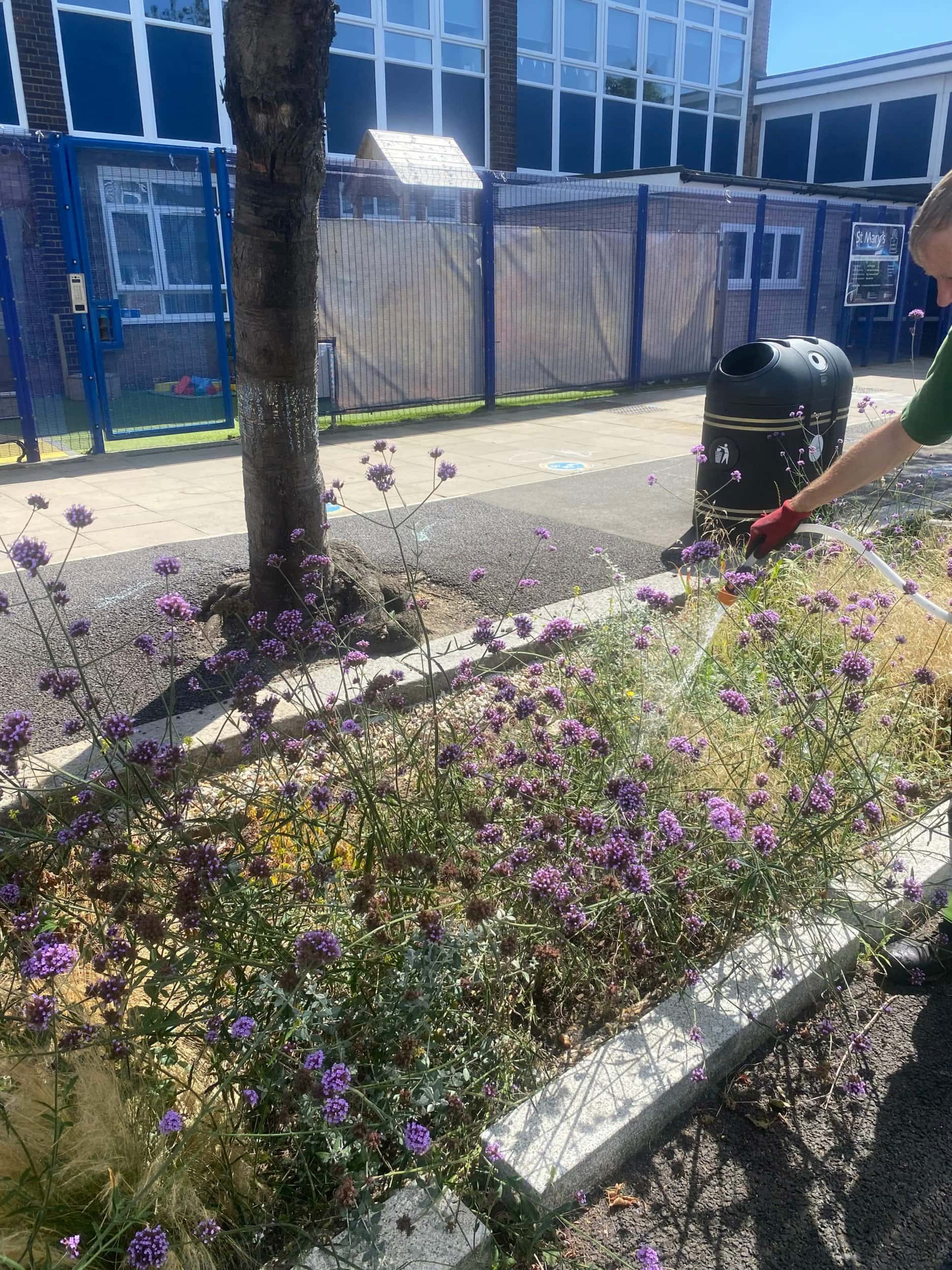 Rain Gardens
