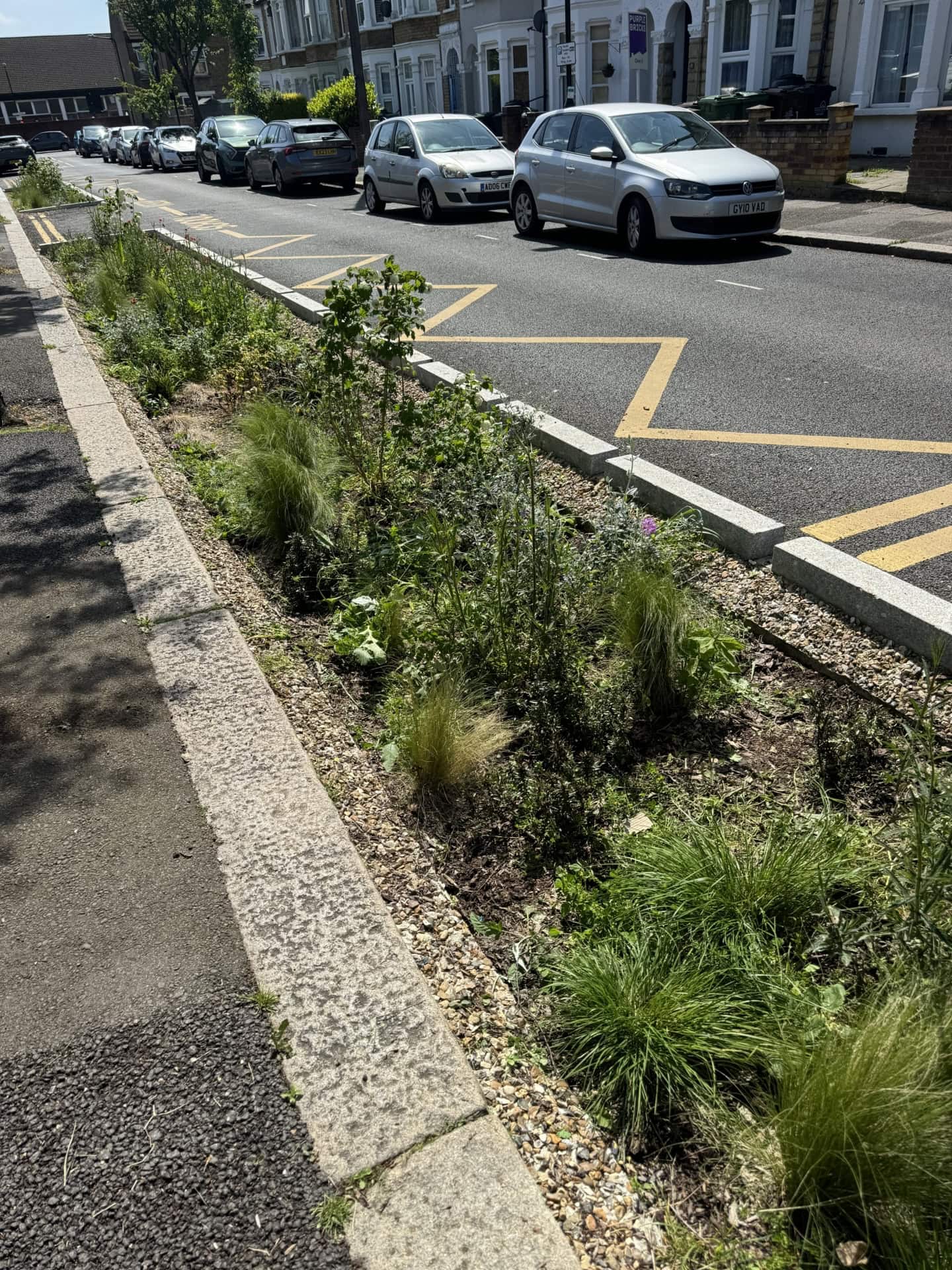 Brooke Road Rain Gardens