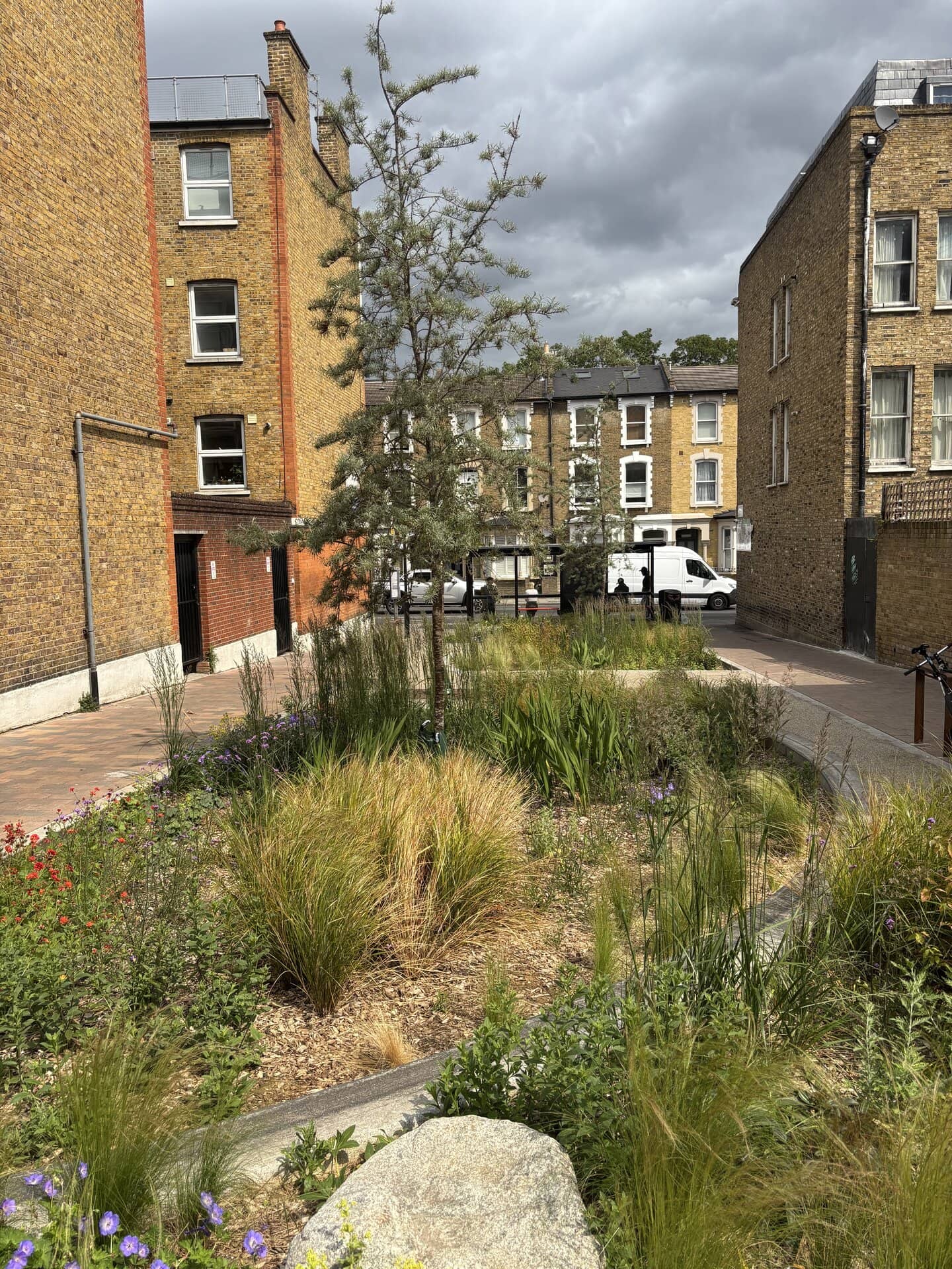 Marvin Street Rain Gardens