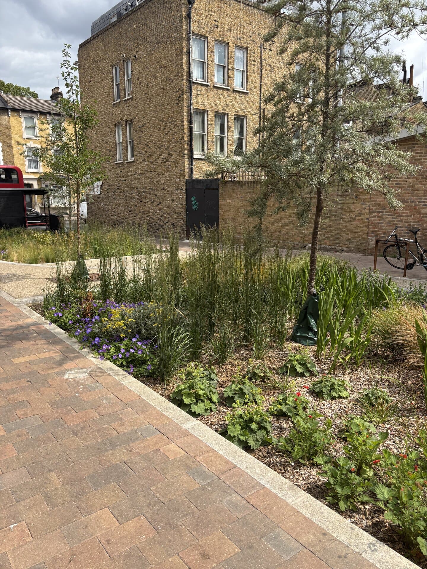 Marvin Street Rain Gardens