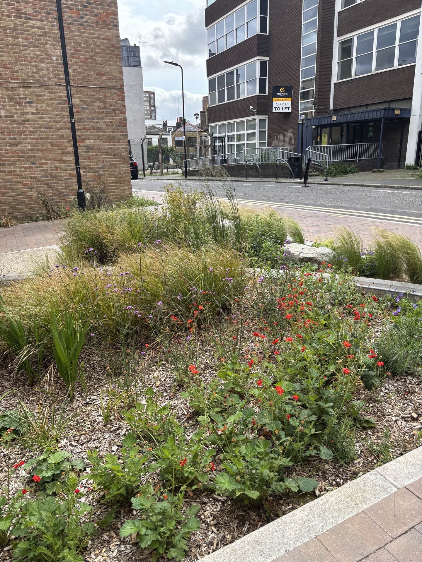 Marvin Street Rain Gardens