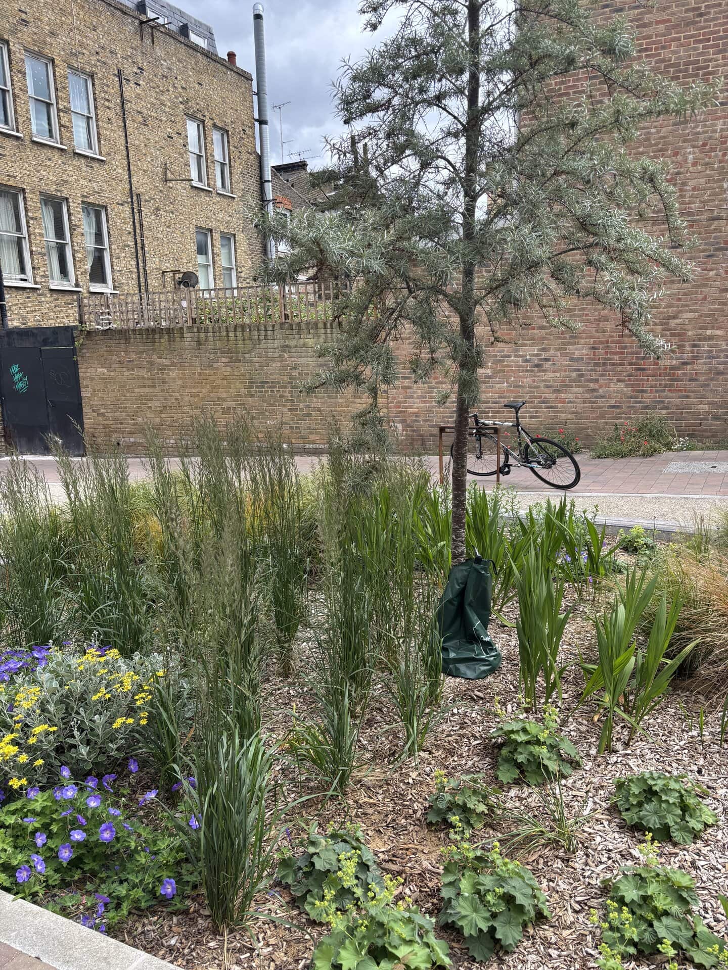 Marvin Street Rain Gardens