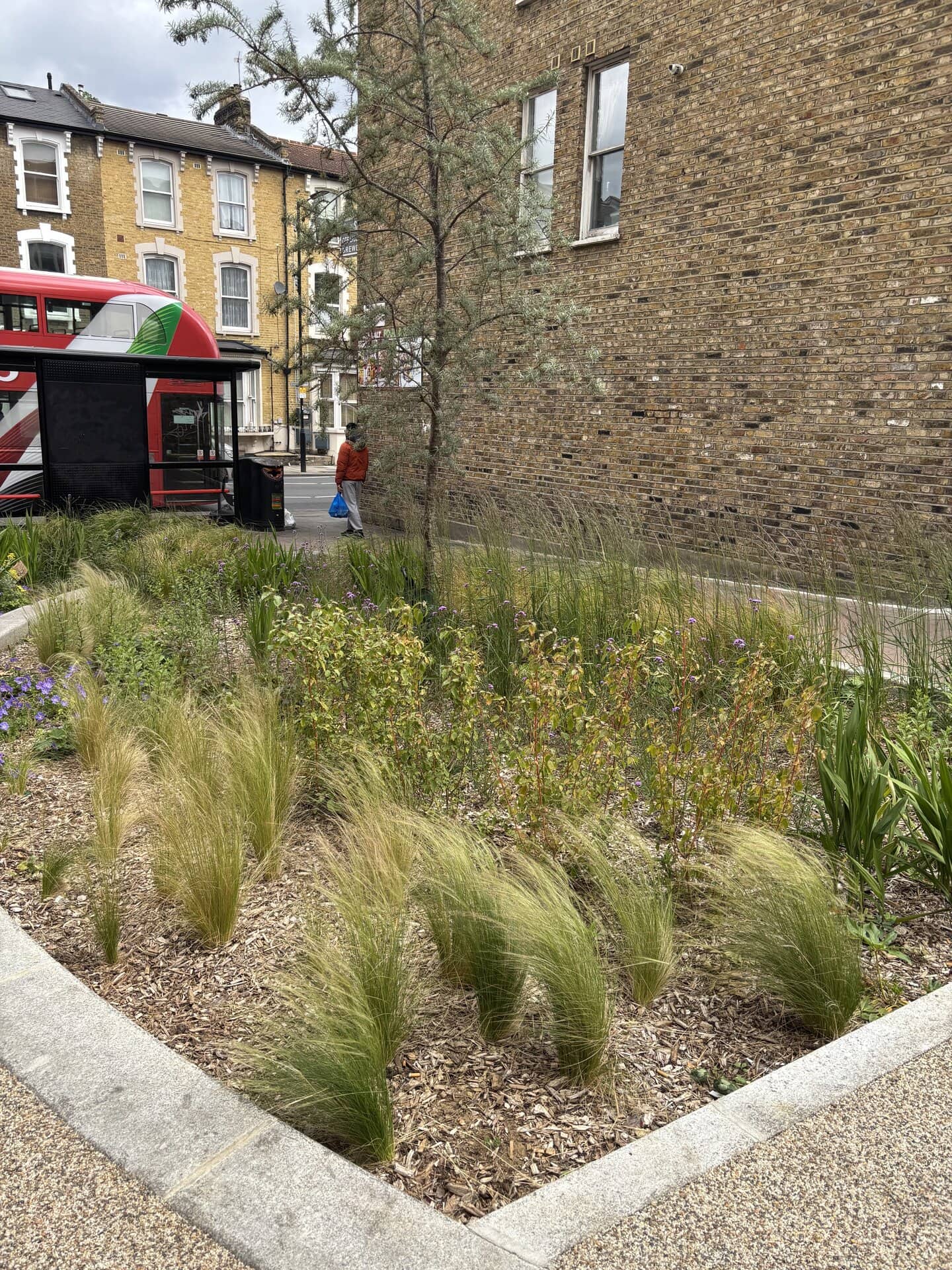 Marvin Street Rain Gardens