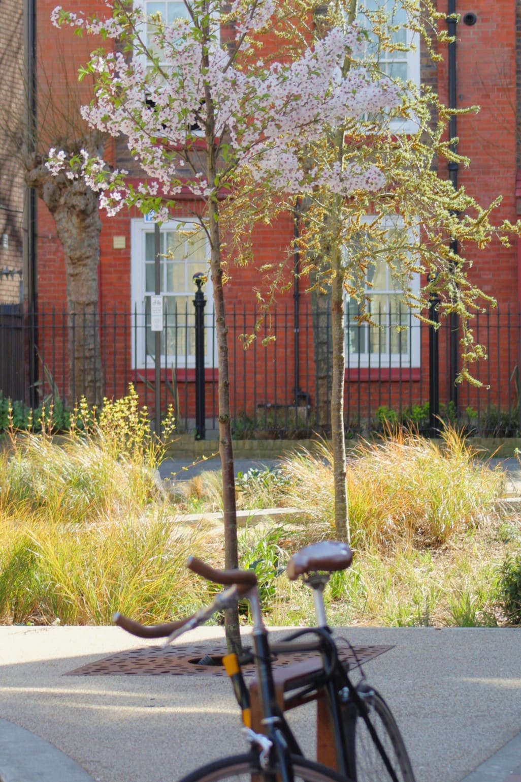 Marvin Street Rain Gardens
