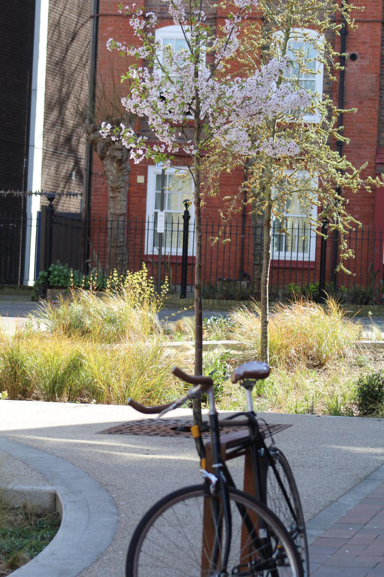 Marvin Street Rain Gardens