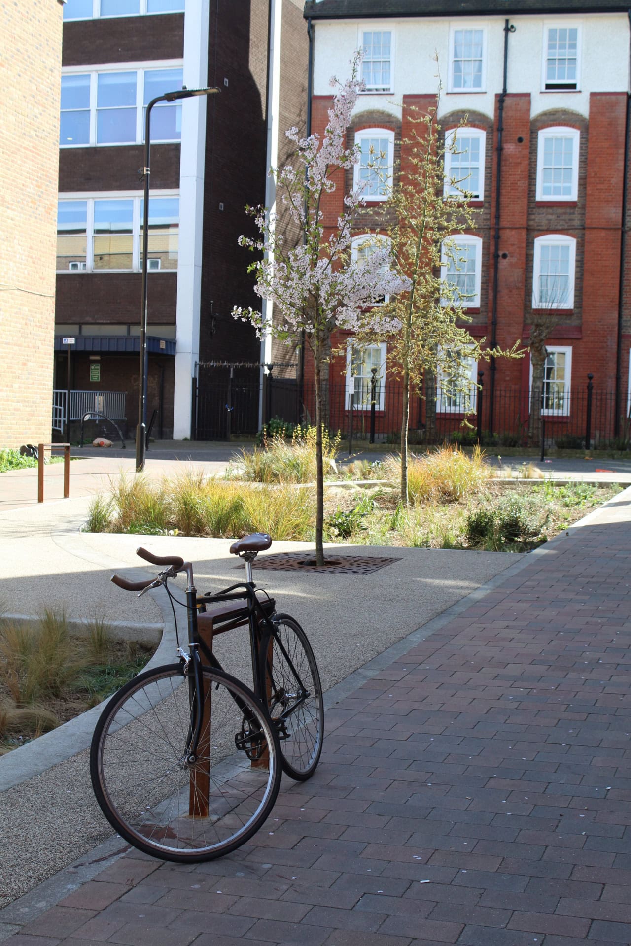 Marvin Street Rain Gardens
