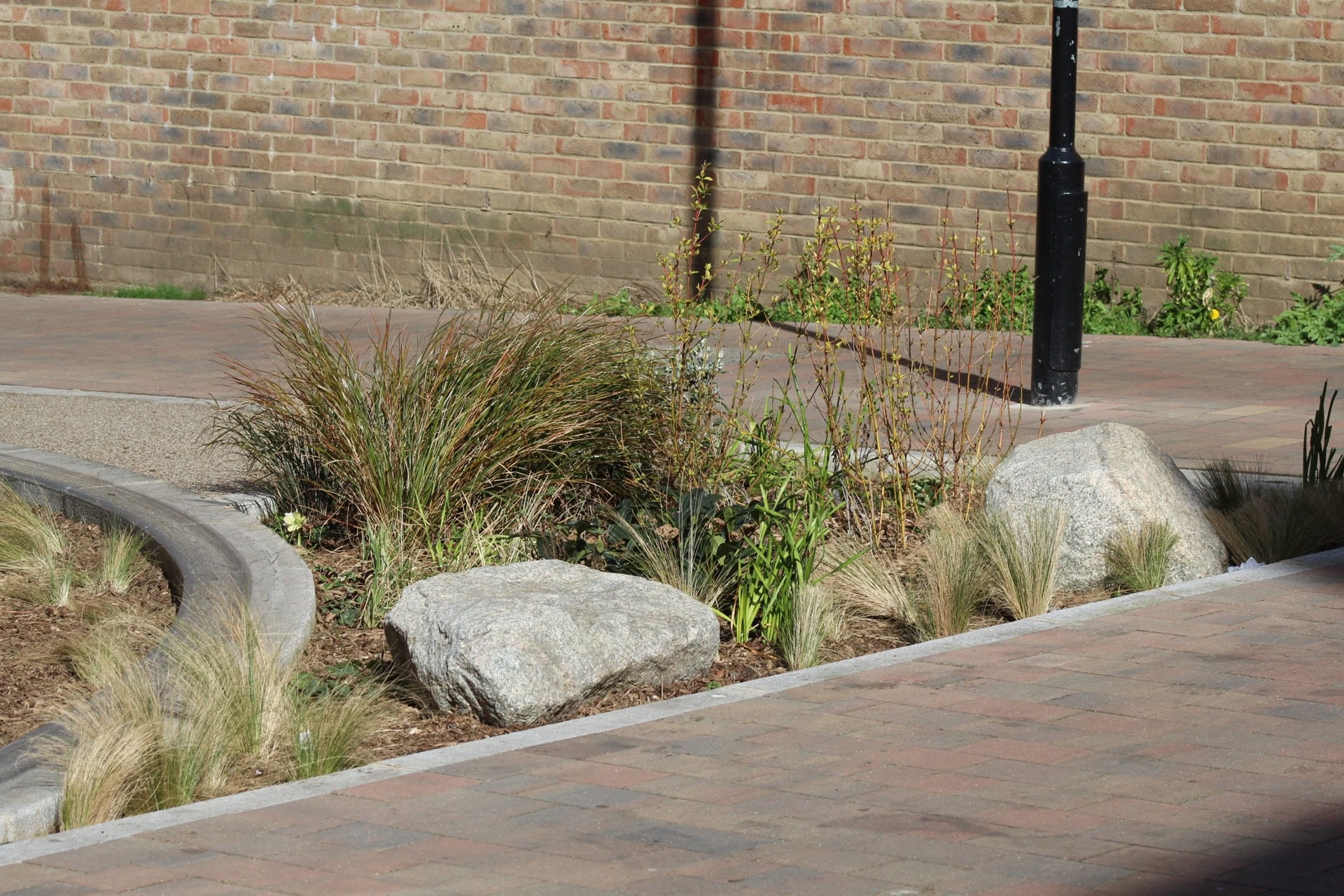 Marvin Street Rain Gardens