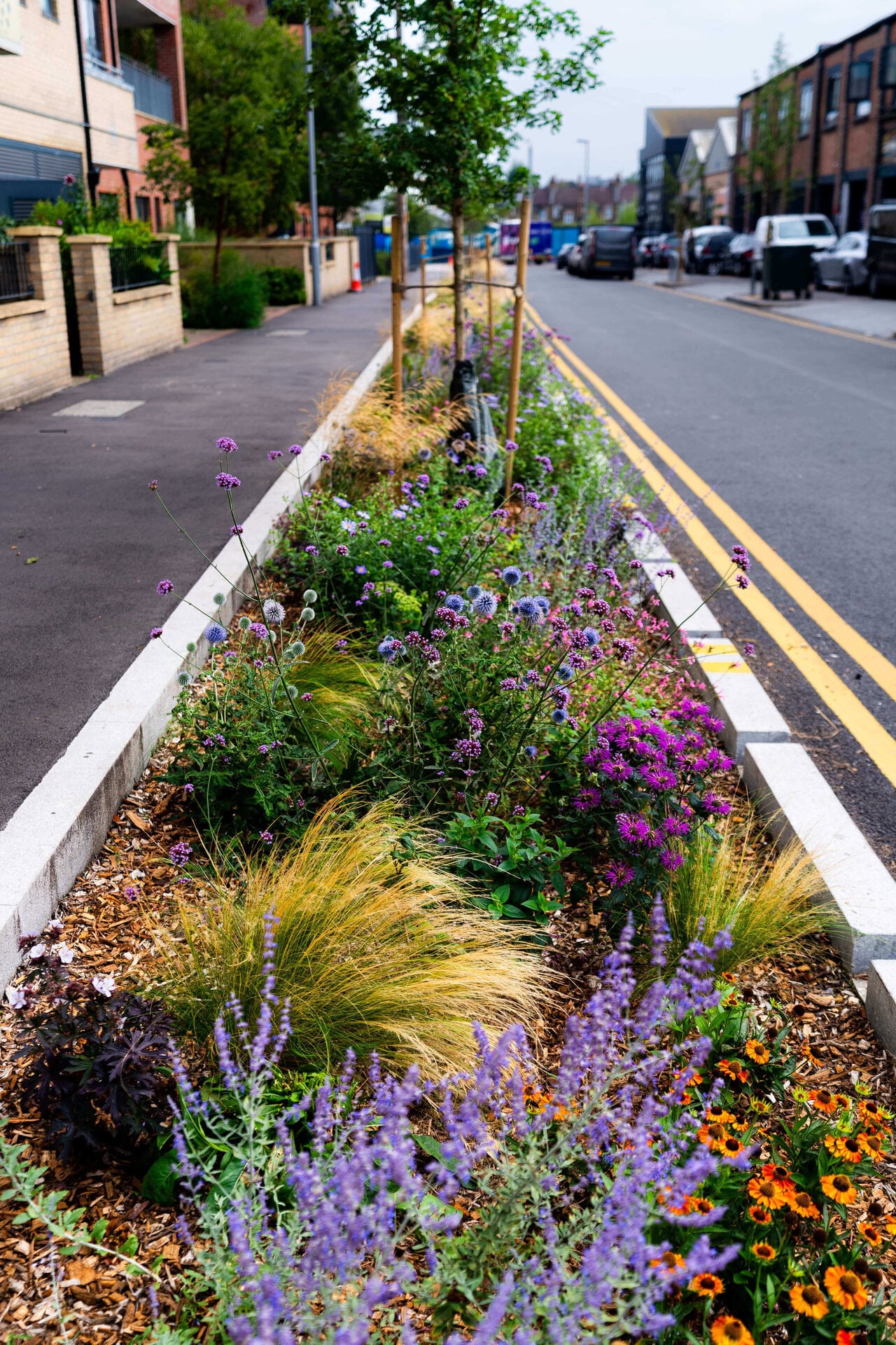 Sutherland Road Public Realm Improvement Scheme