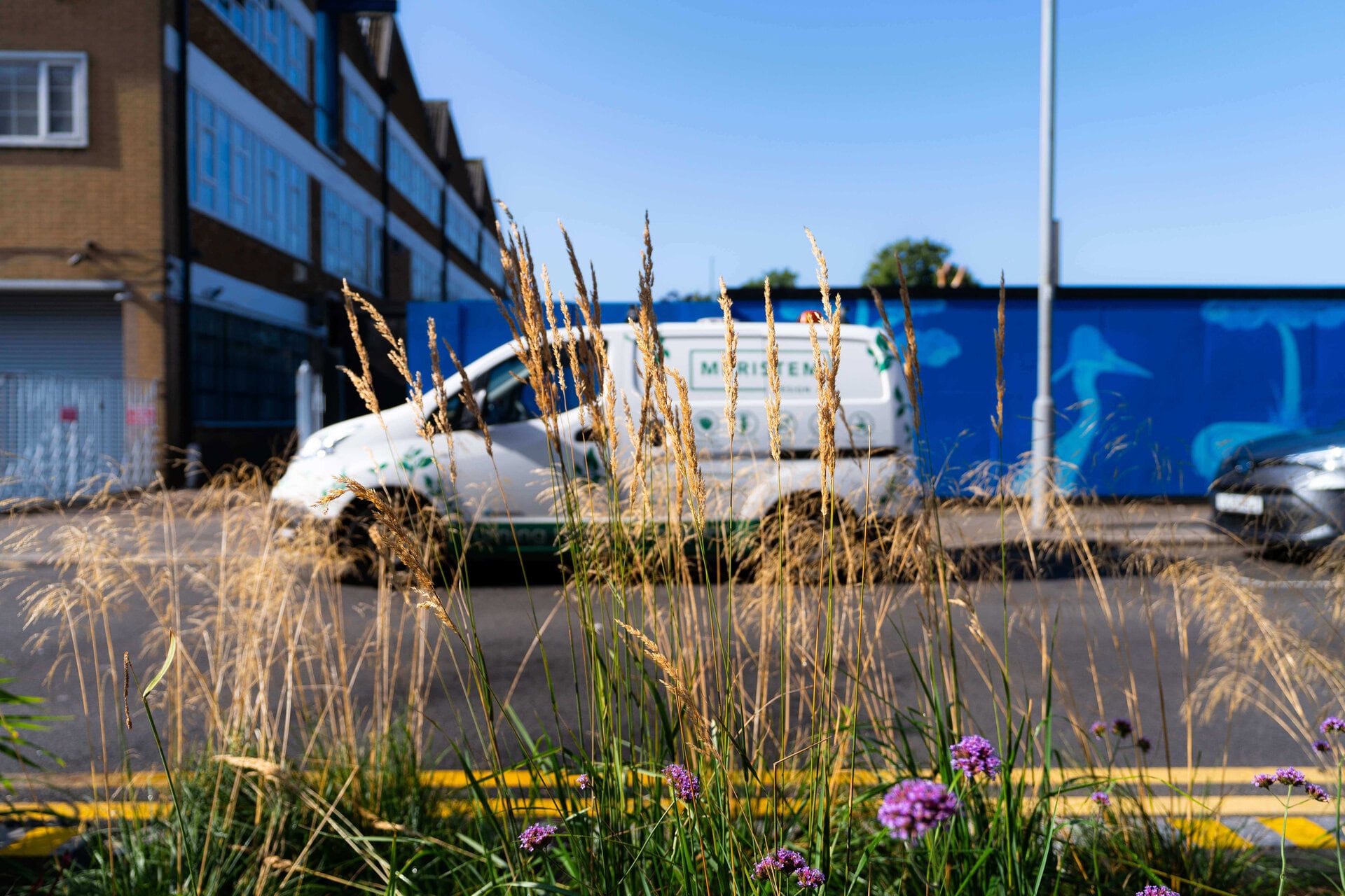 Sutherland Road Public Realm Improvement Scheme