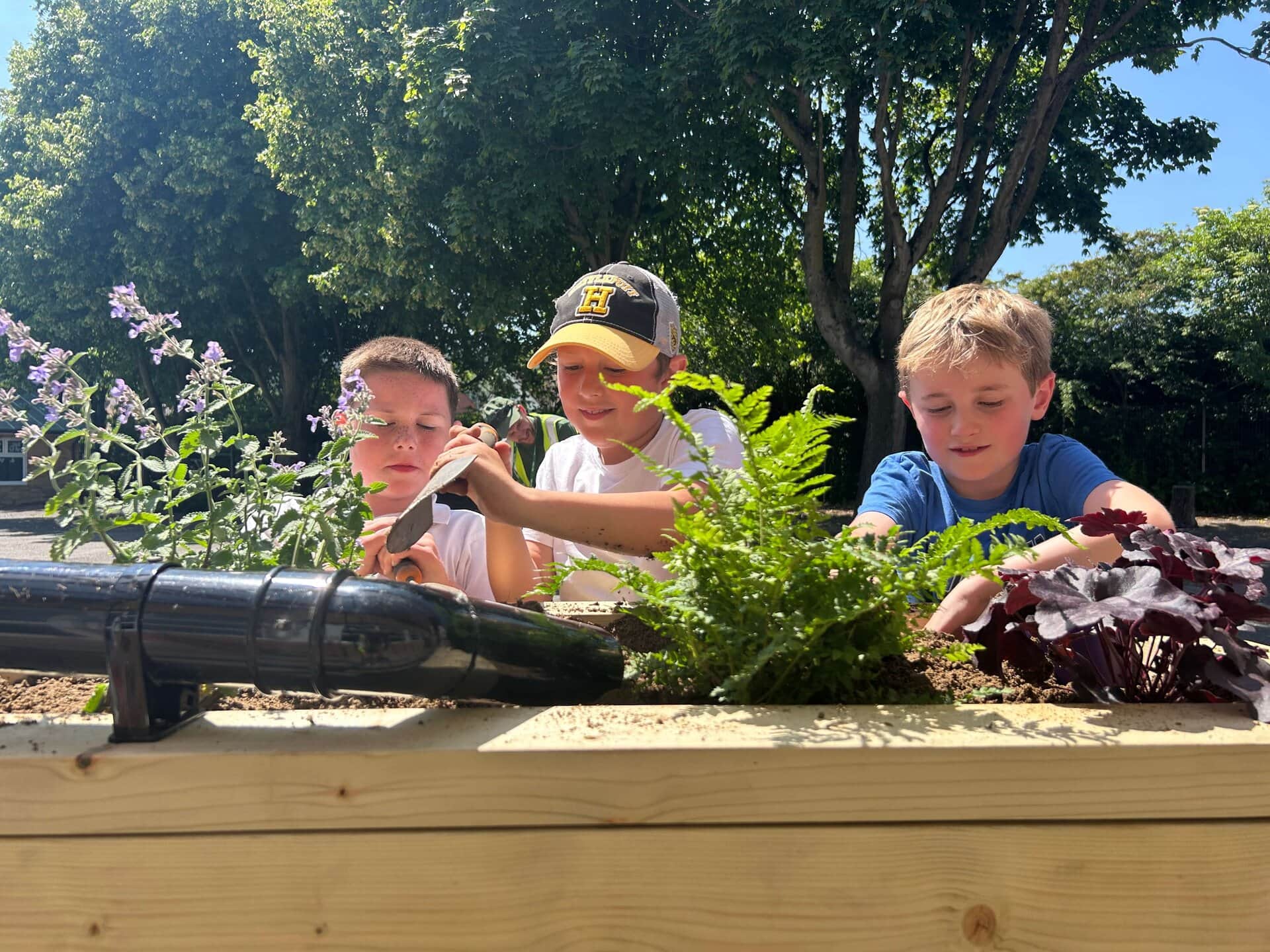 Nature Workshops