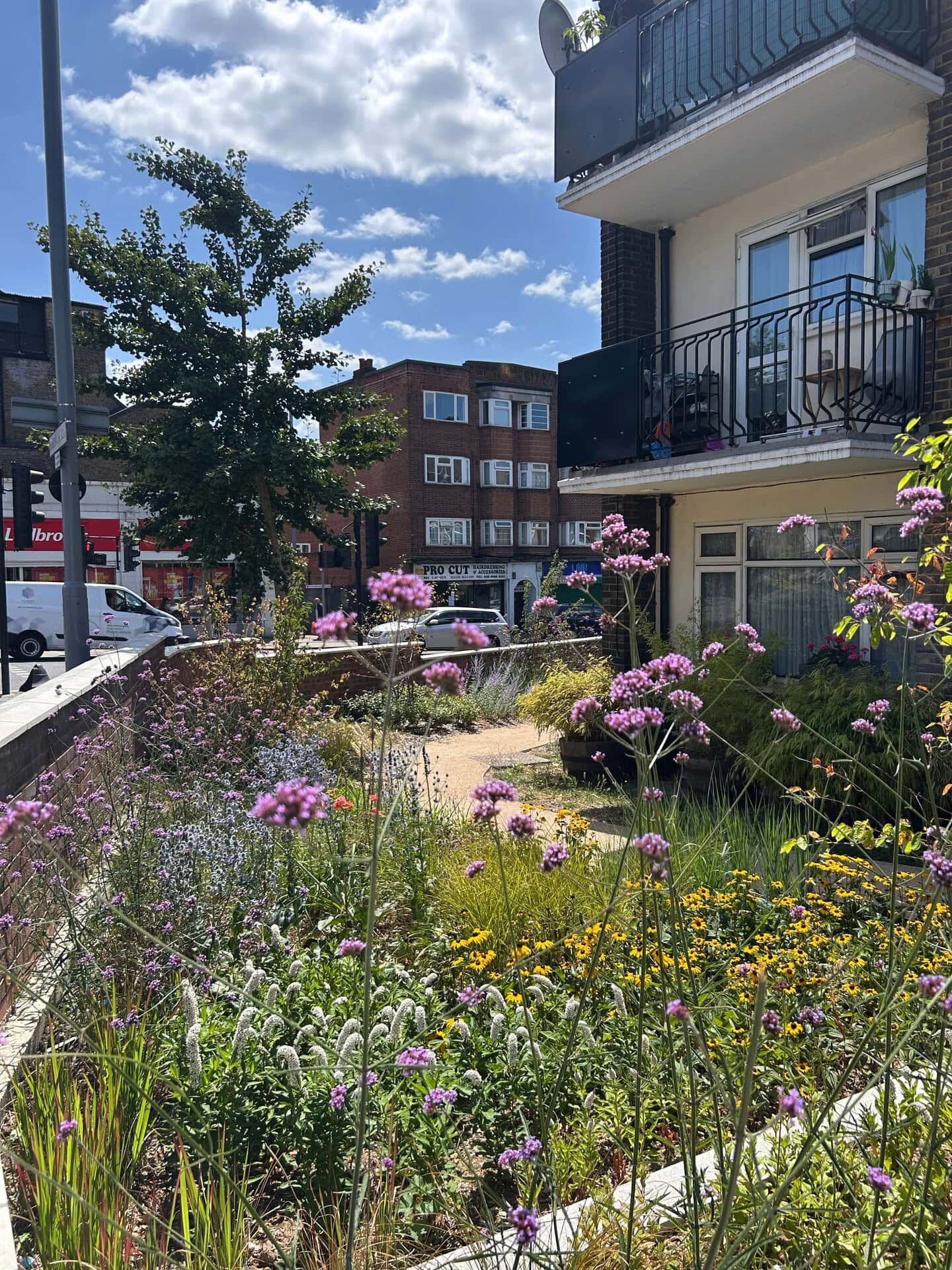 Landscaping