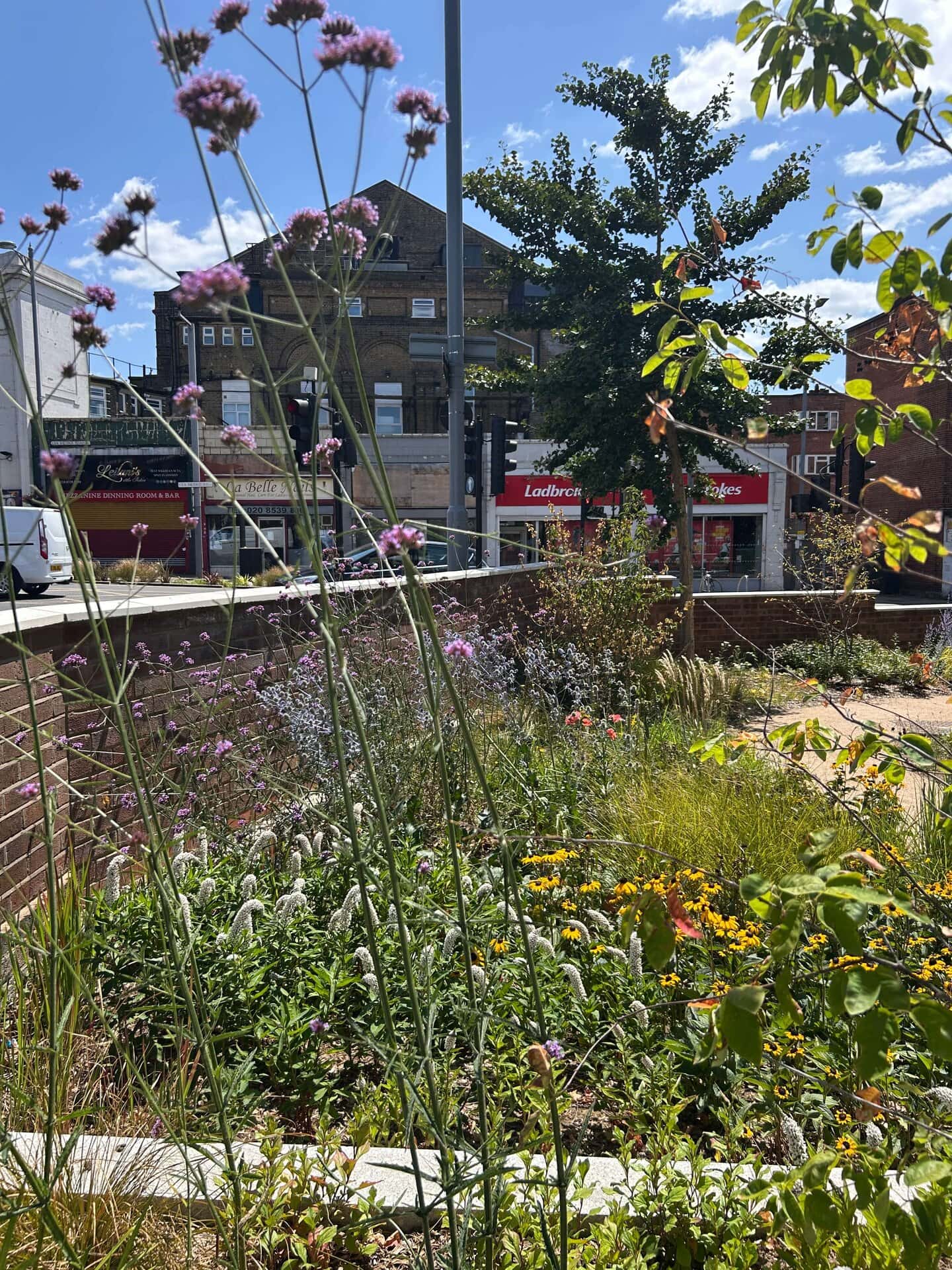 Landscaping