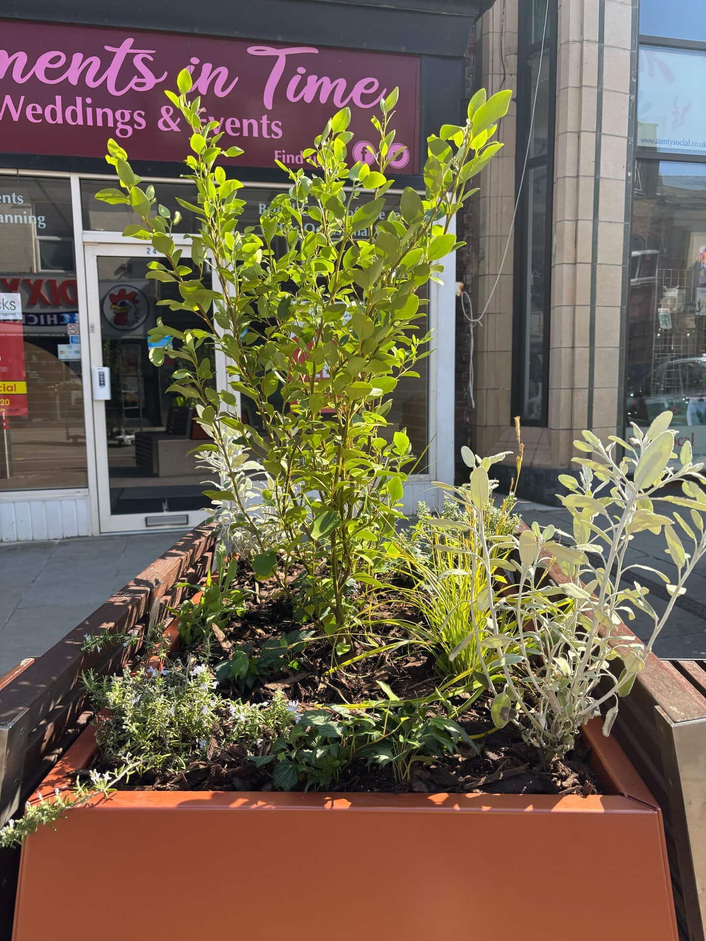 Blackpool Planters and Street Furniture