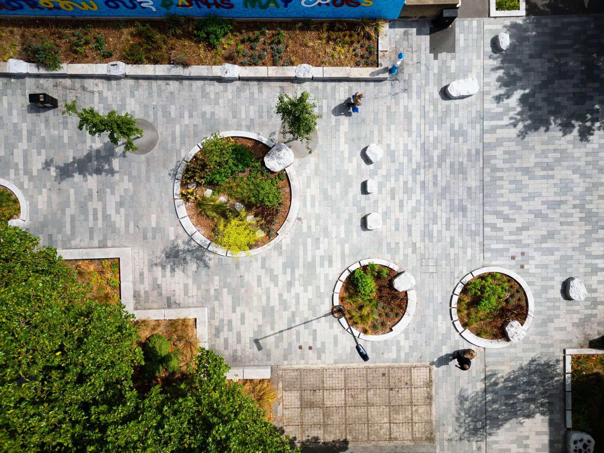 Rain Gardens