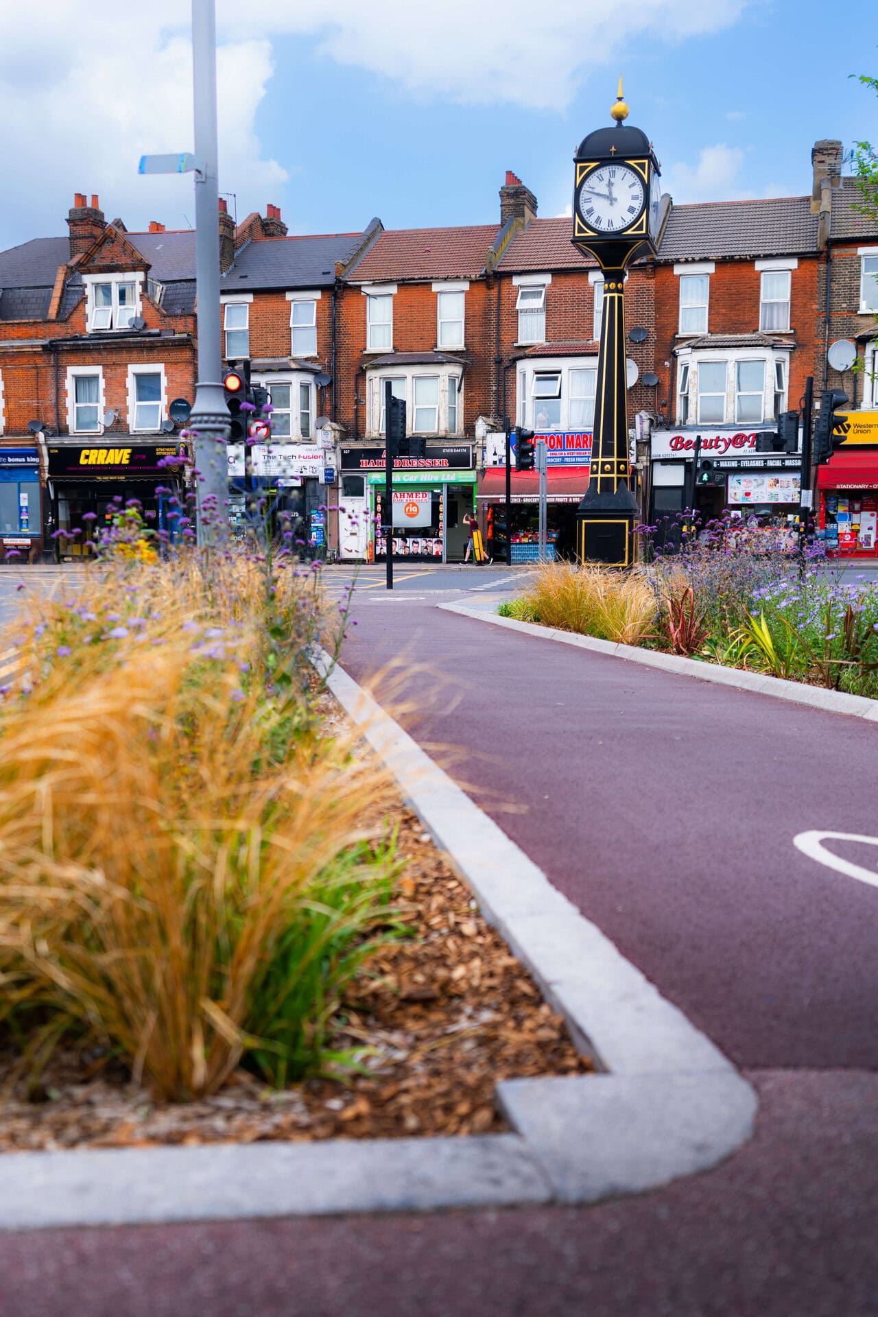 Rain Gardens
