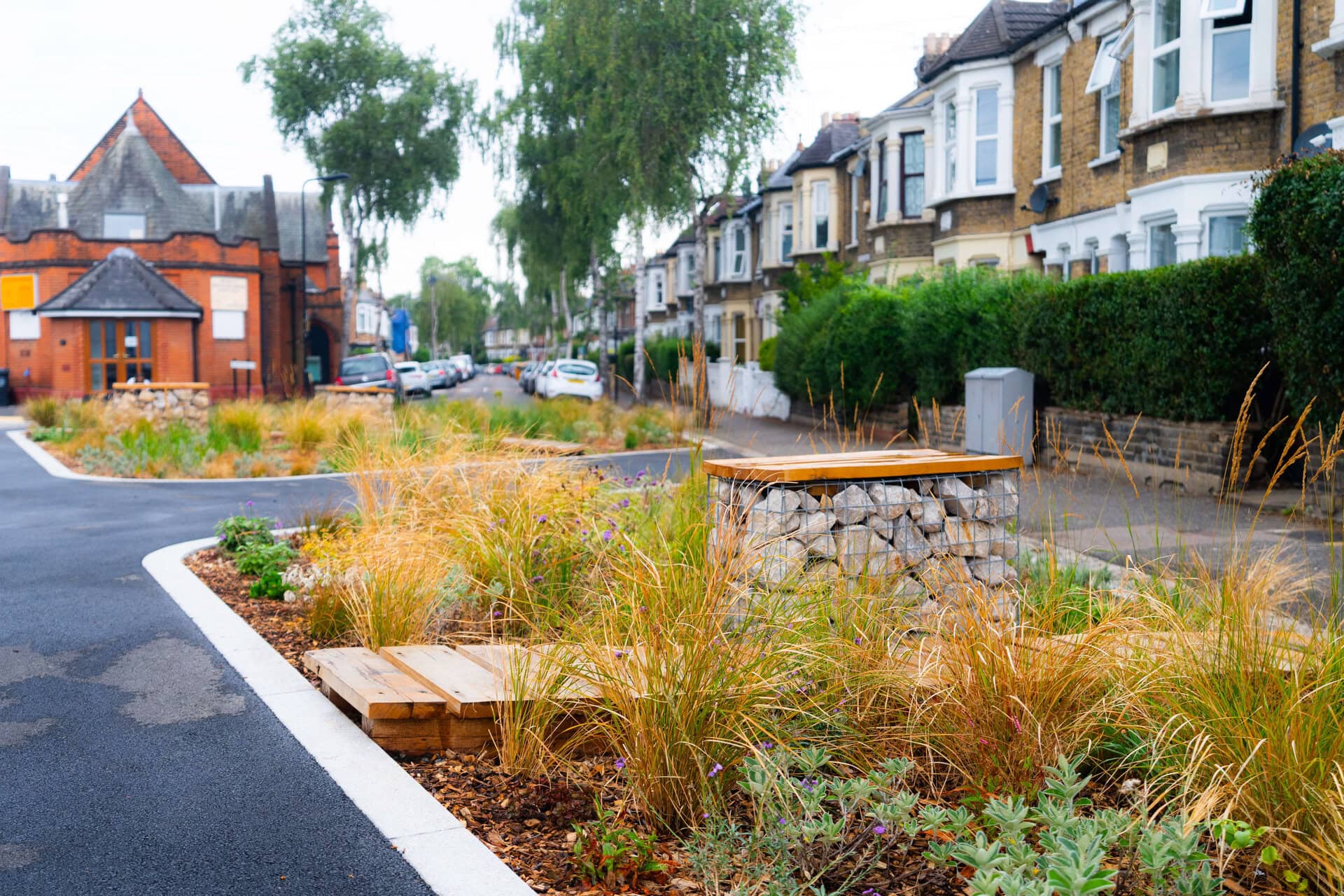 Rain Gardens