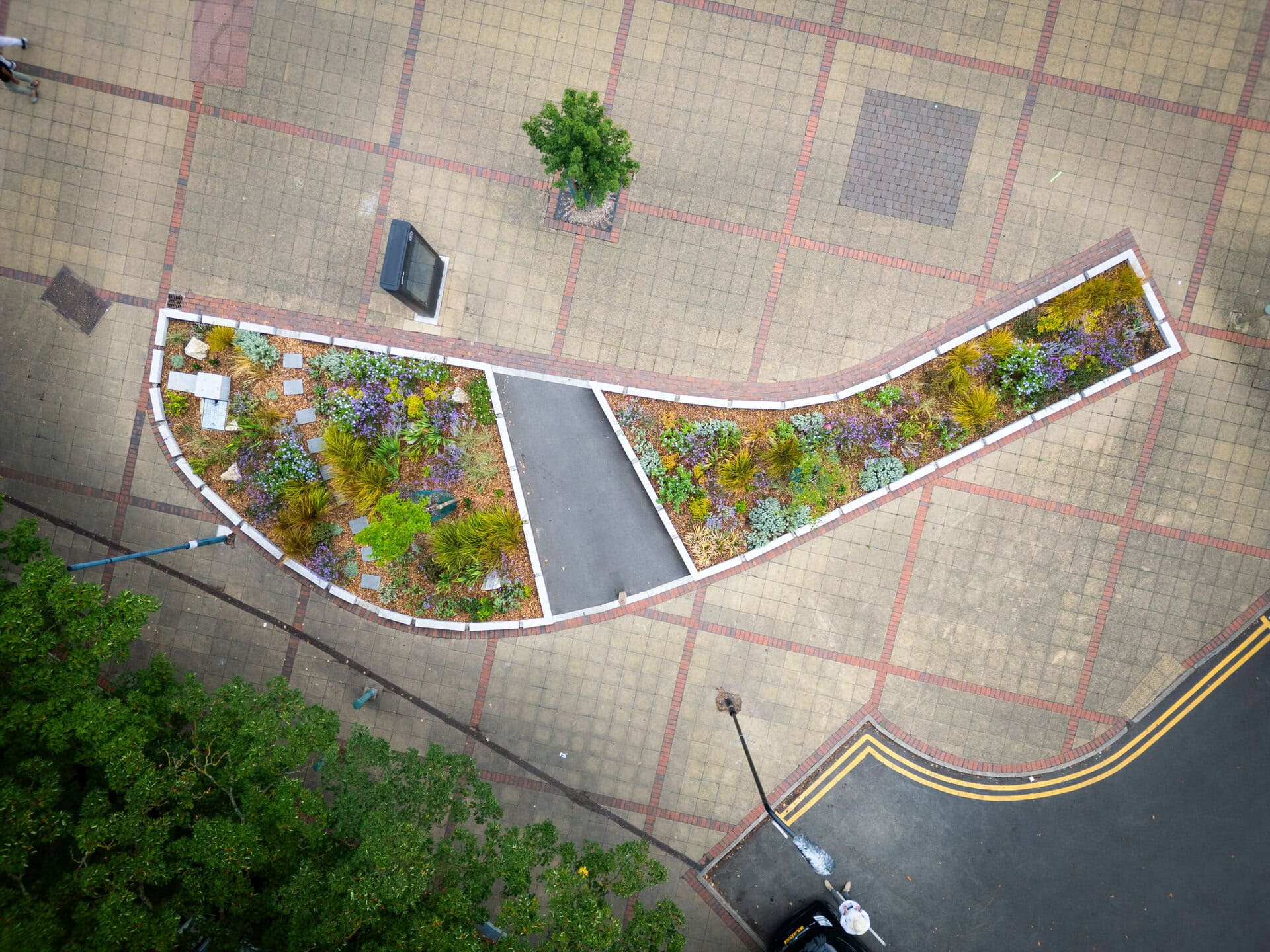 Rain Gardens