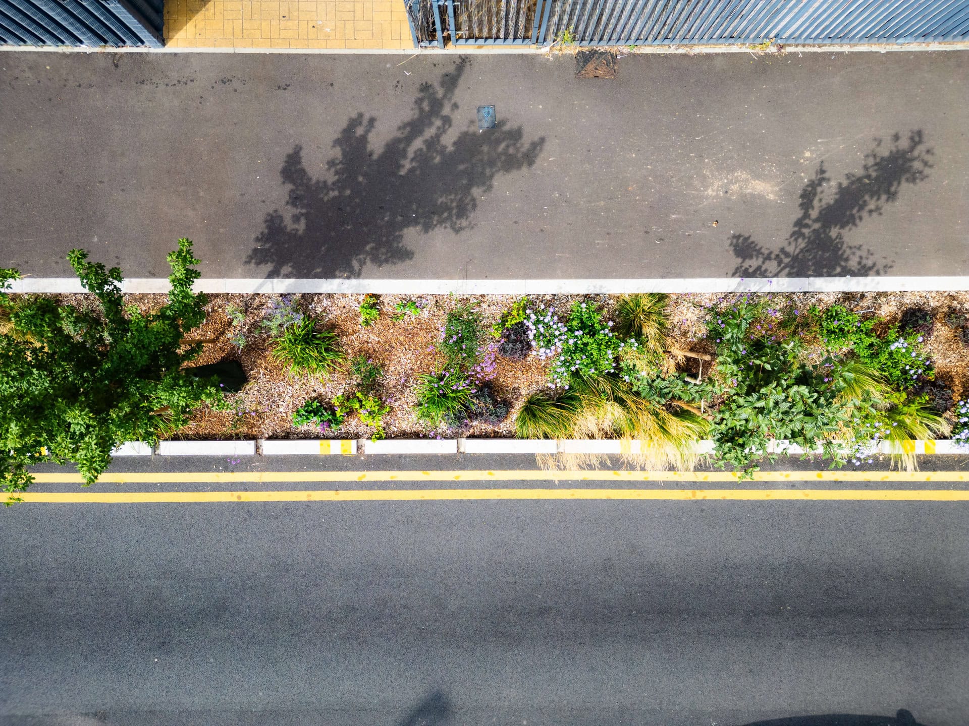 Rain Gardens