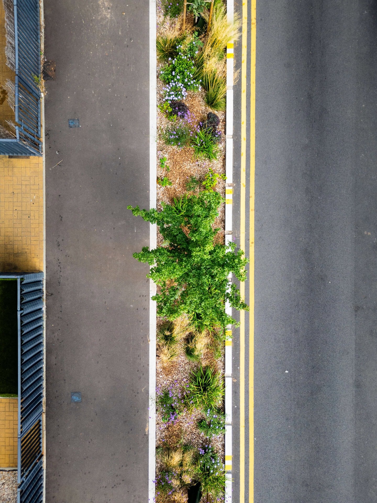 Rain Gardens