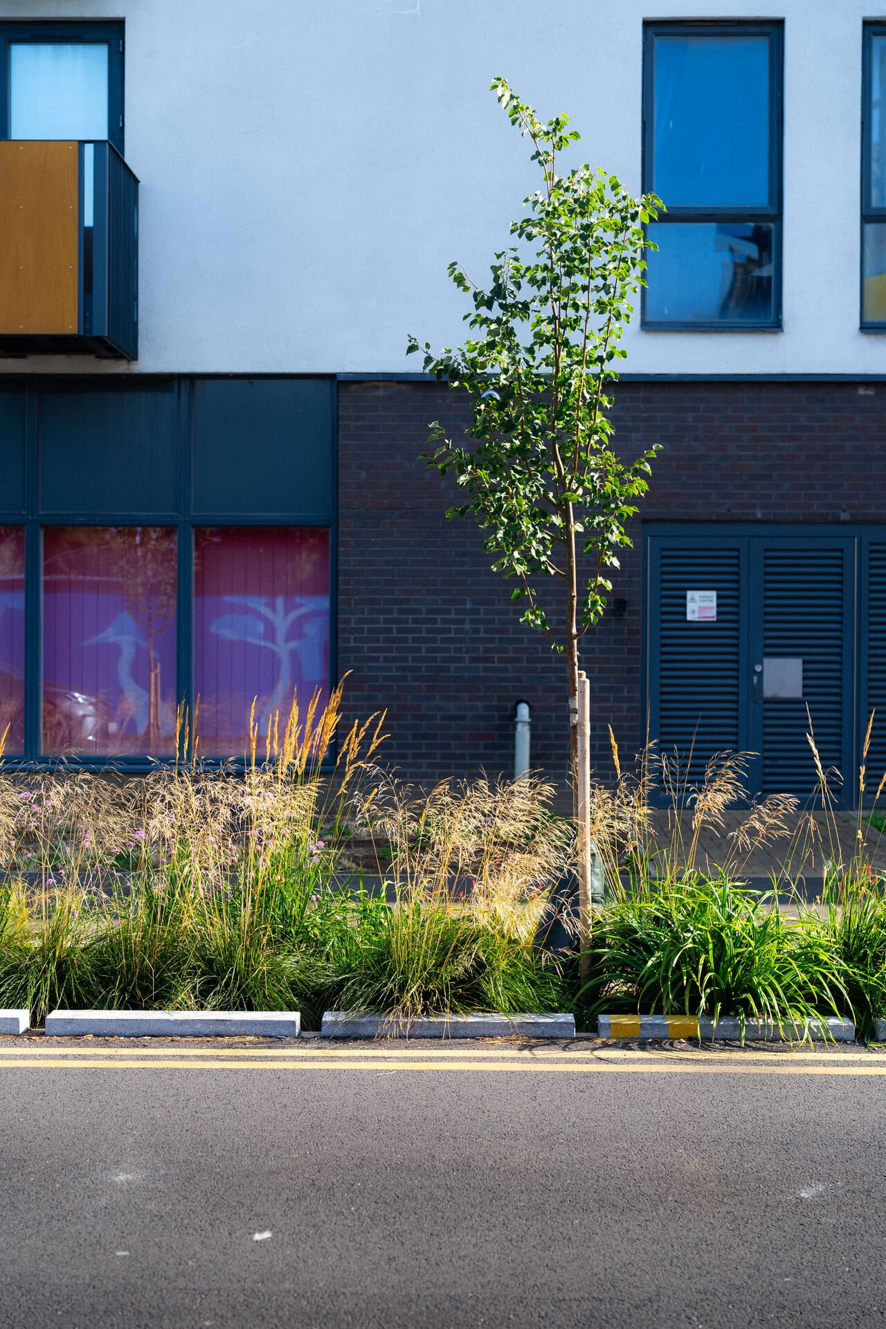 Rain Gardens