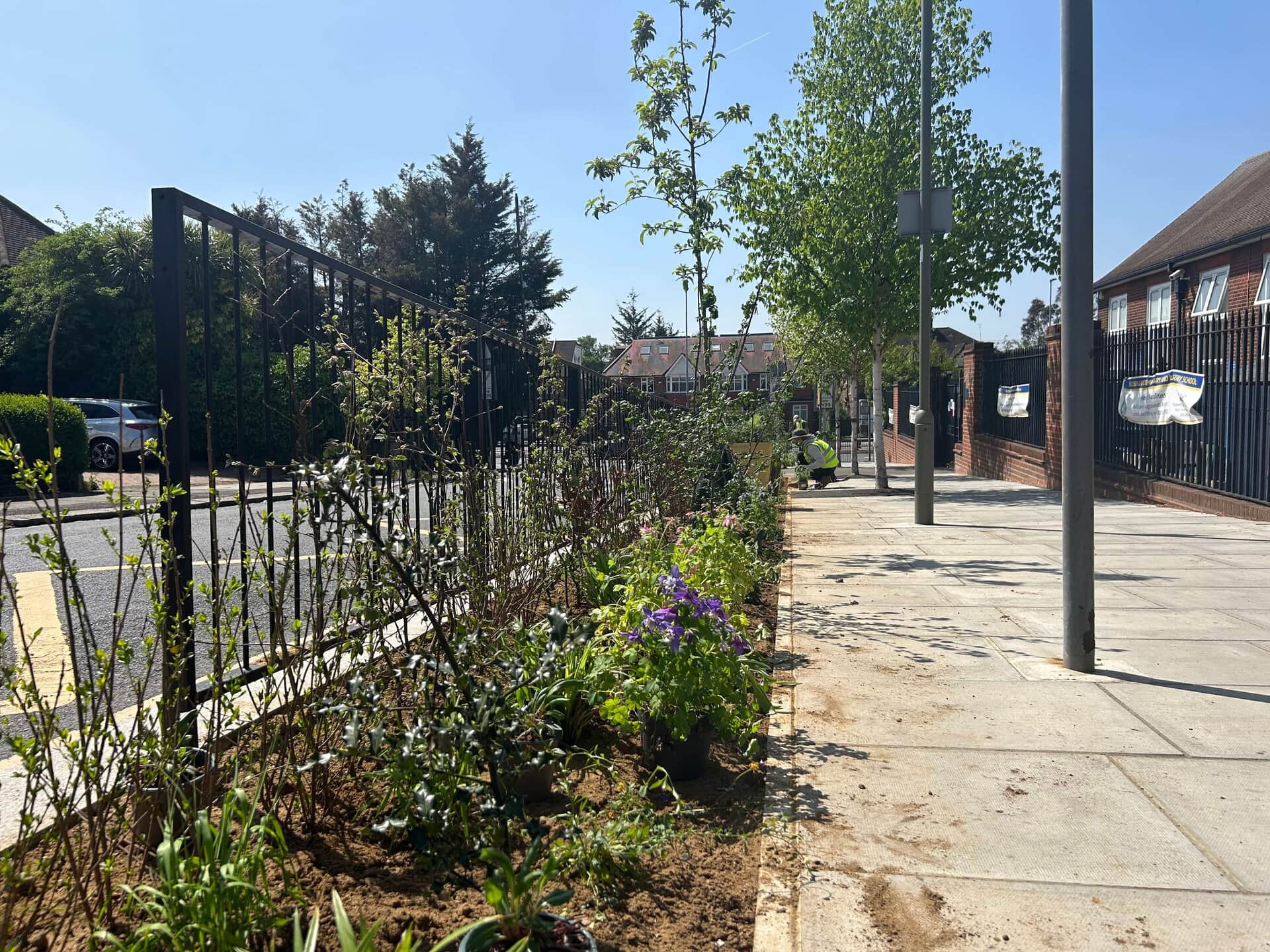 Wessex Gardens School SuDS