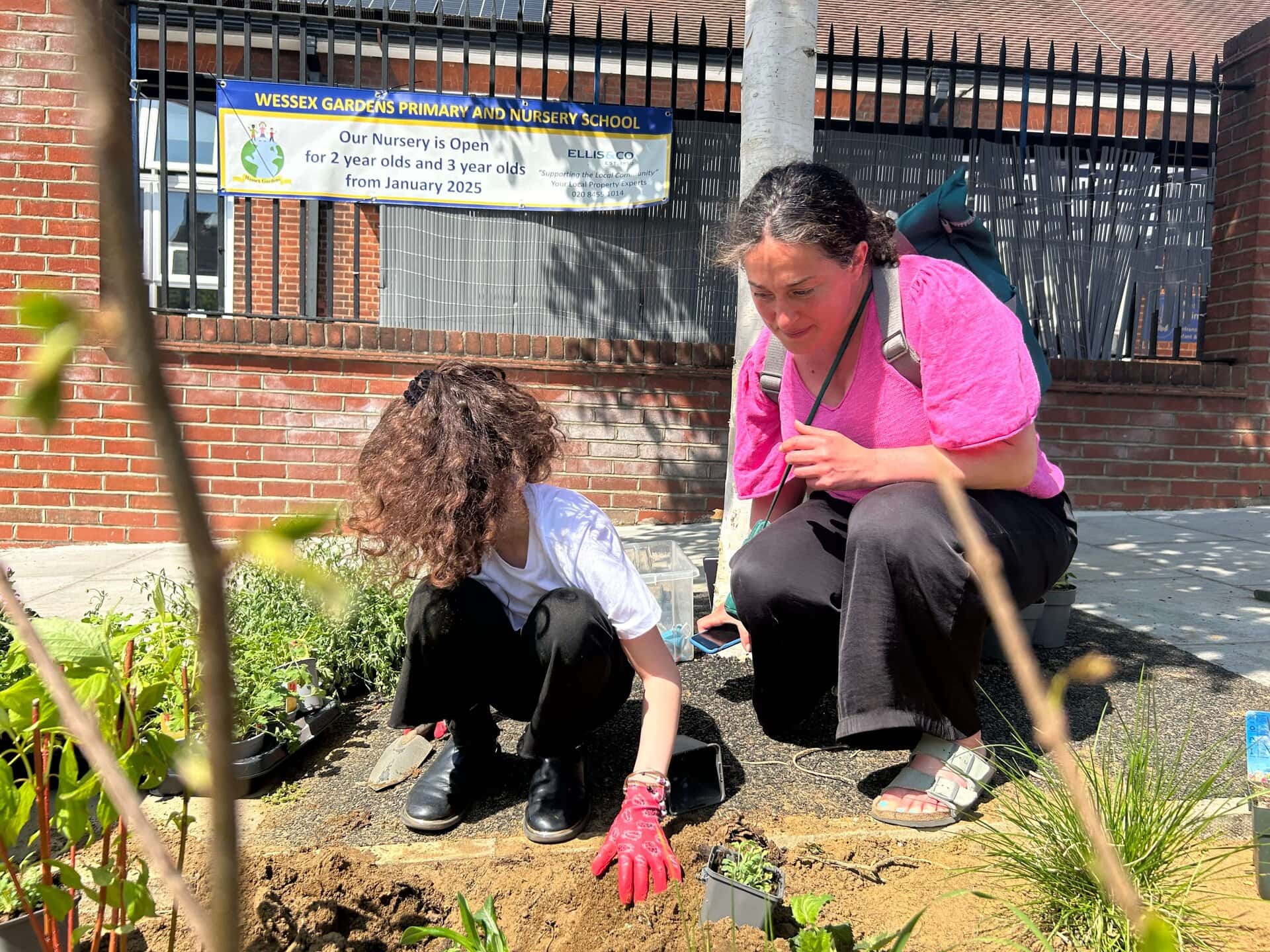 Wessex Gardens School SuDS
