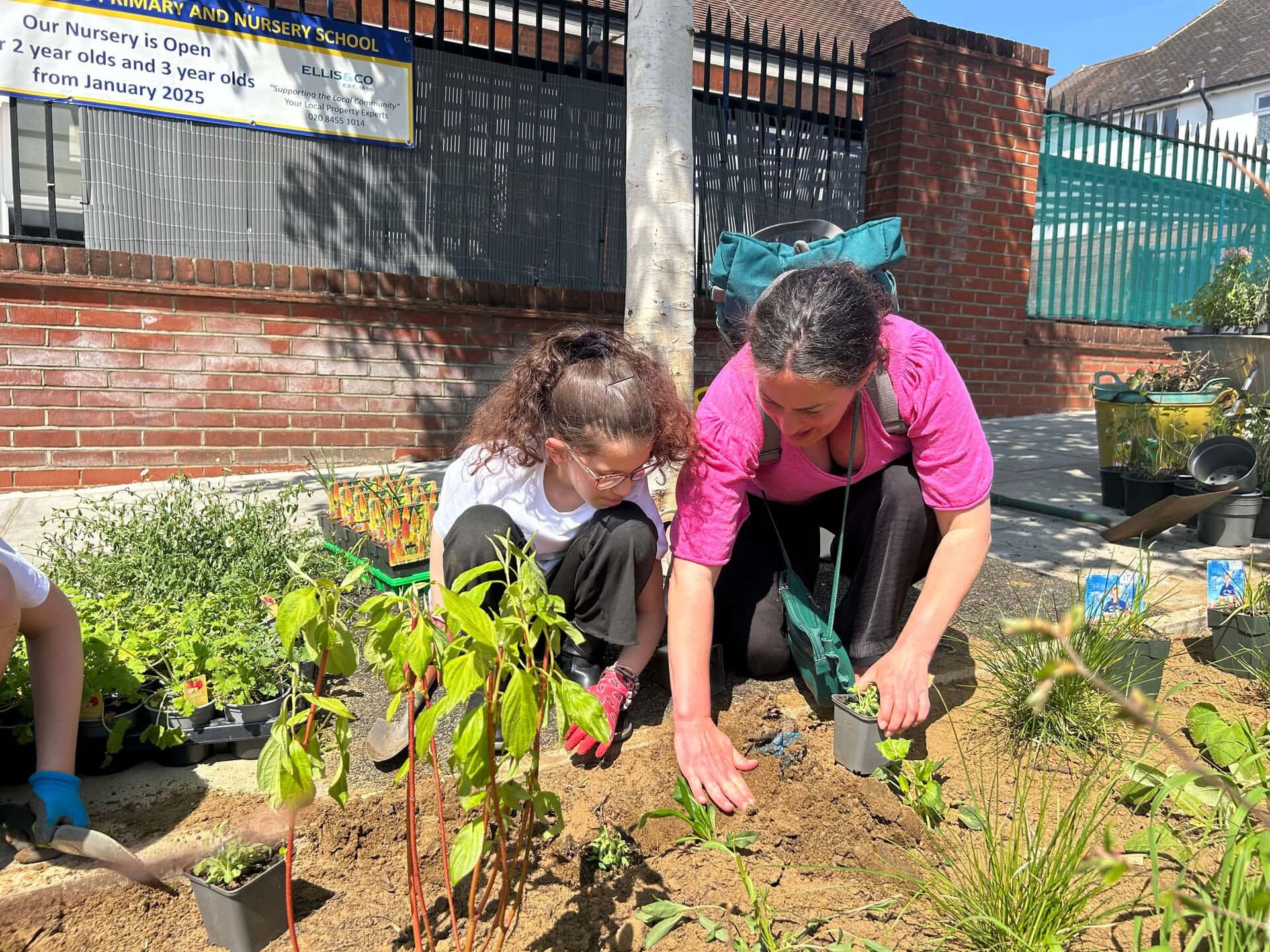 Wessex Gardens School SuDS