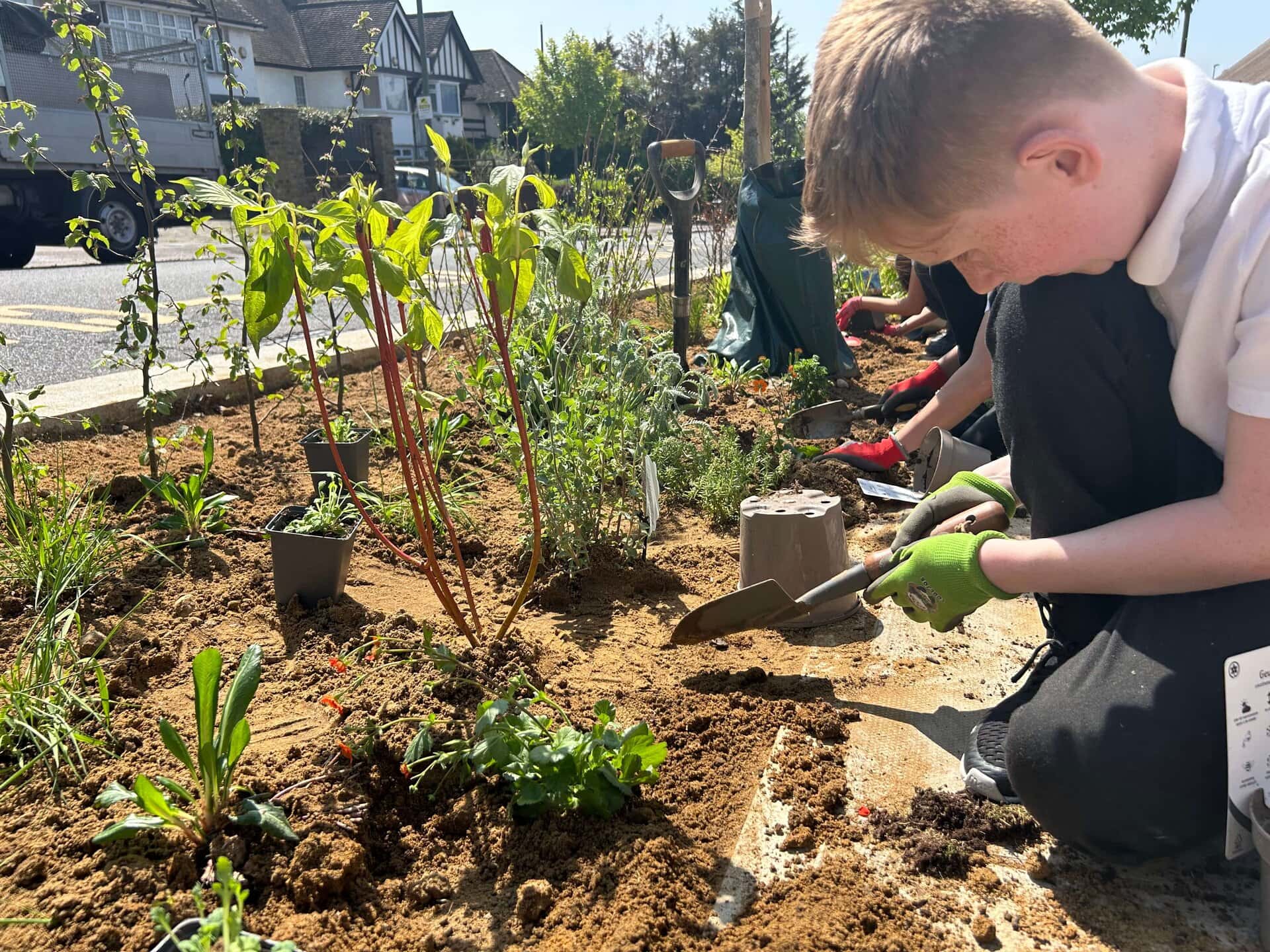 Wessex Gardens School SuDS