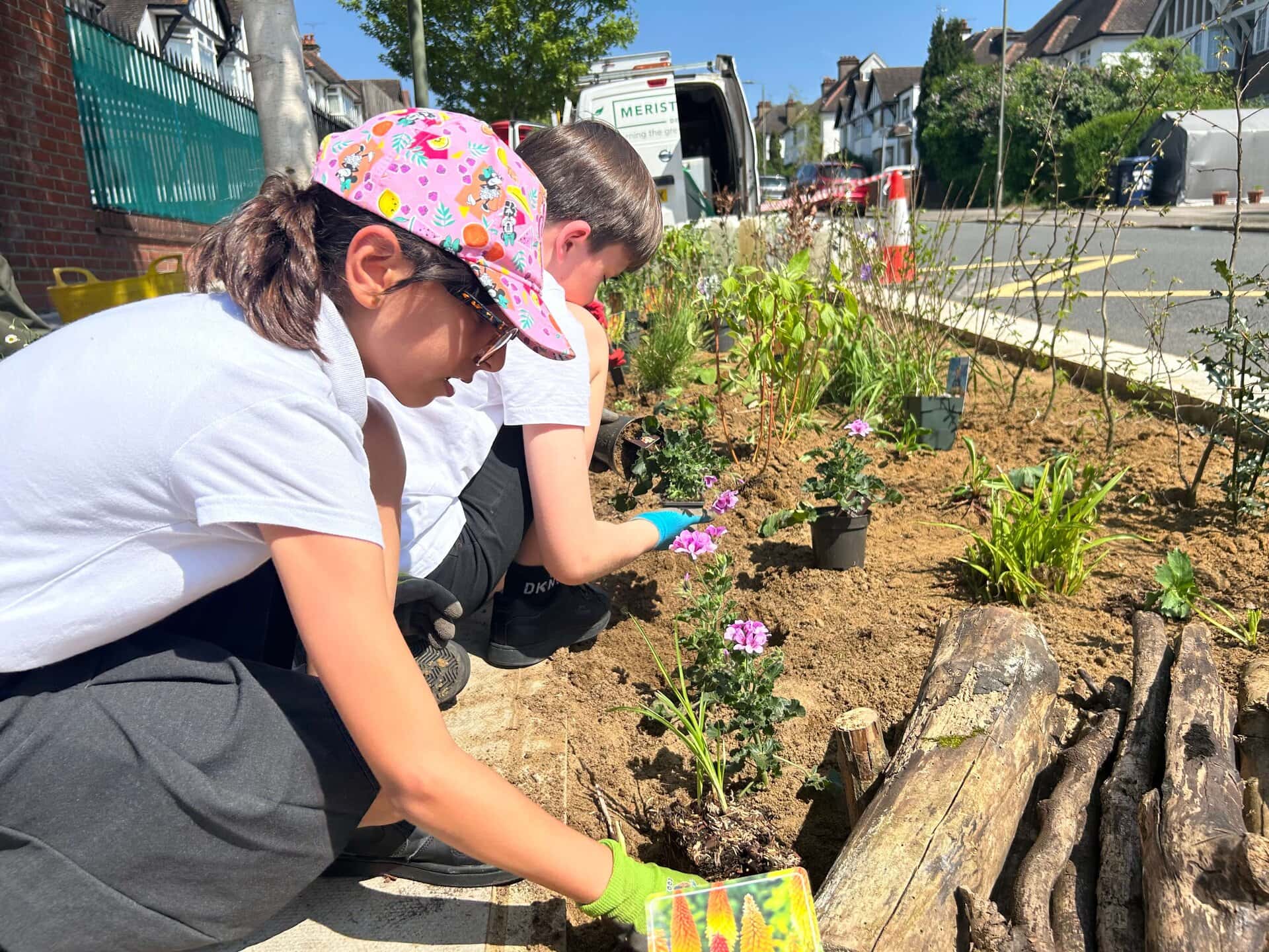 Wessex Gardens School SuDS