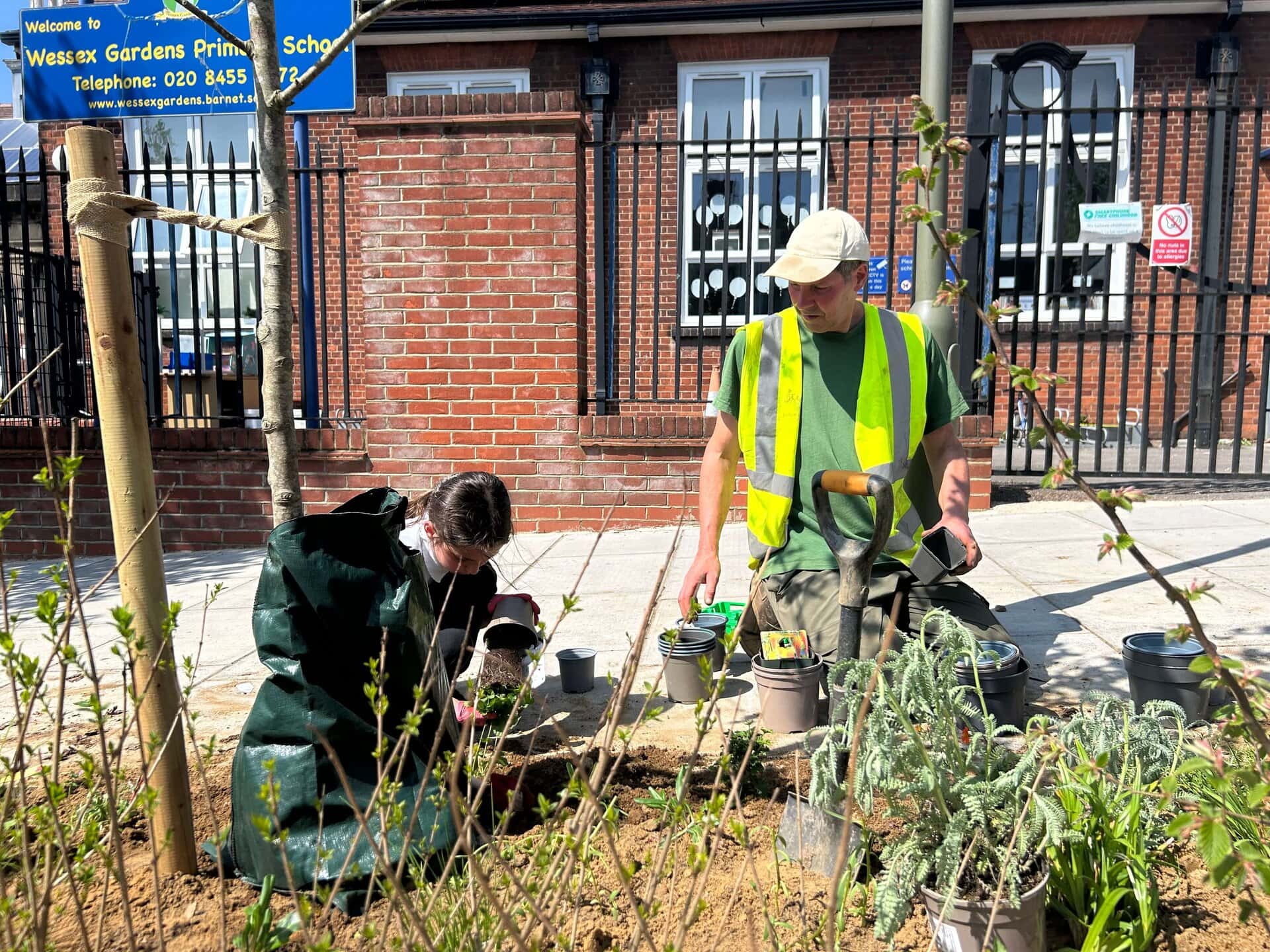 Wessex Gardens School SuDS