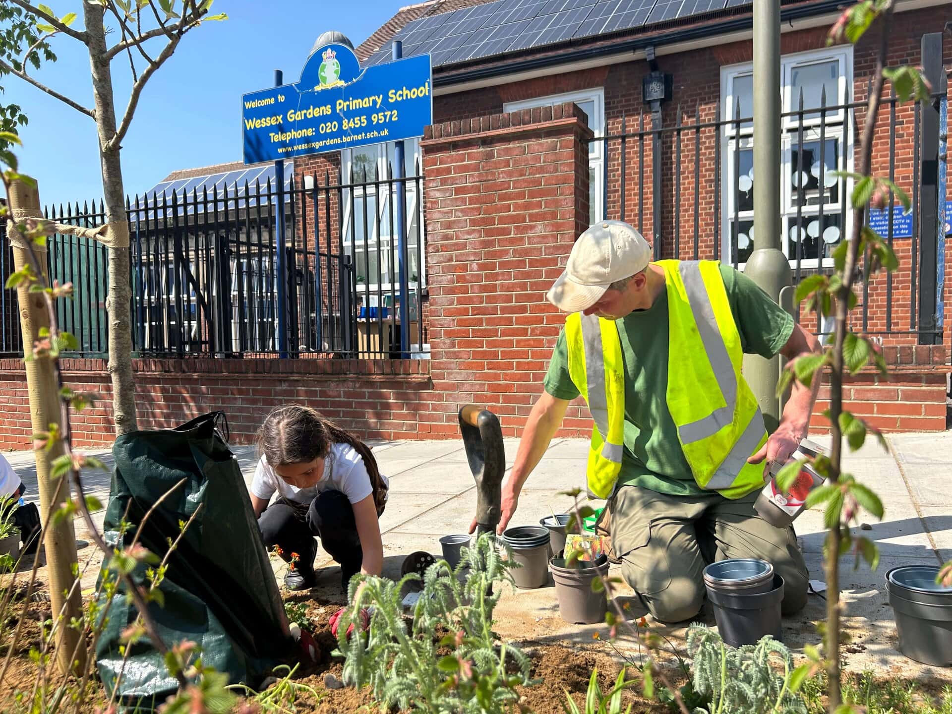 Wessex Gardens School SuDS