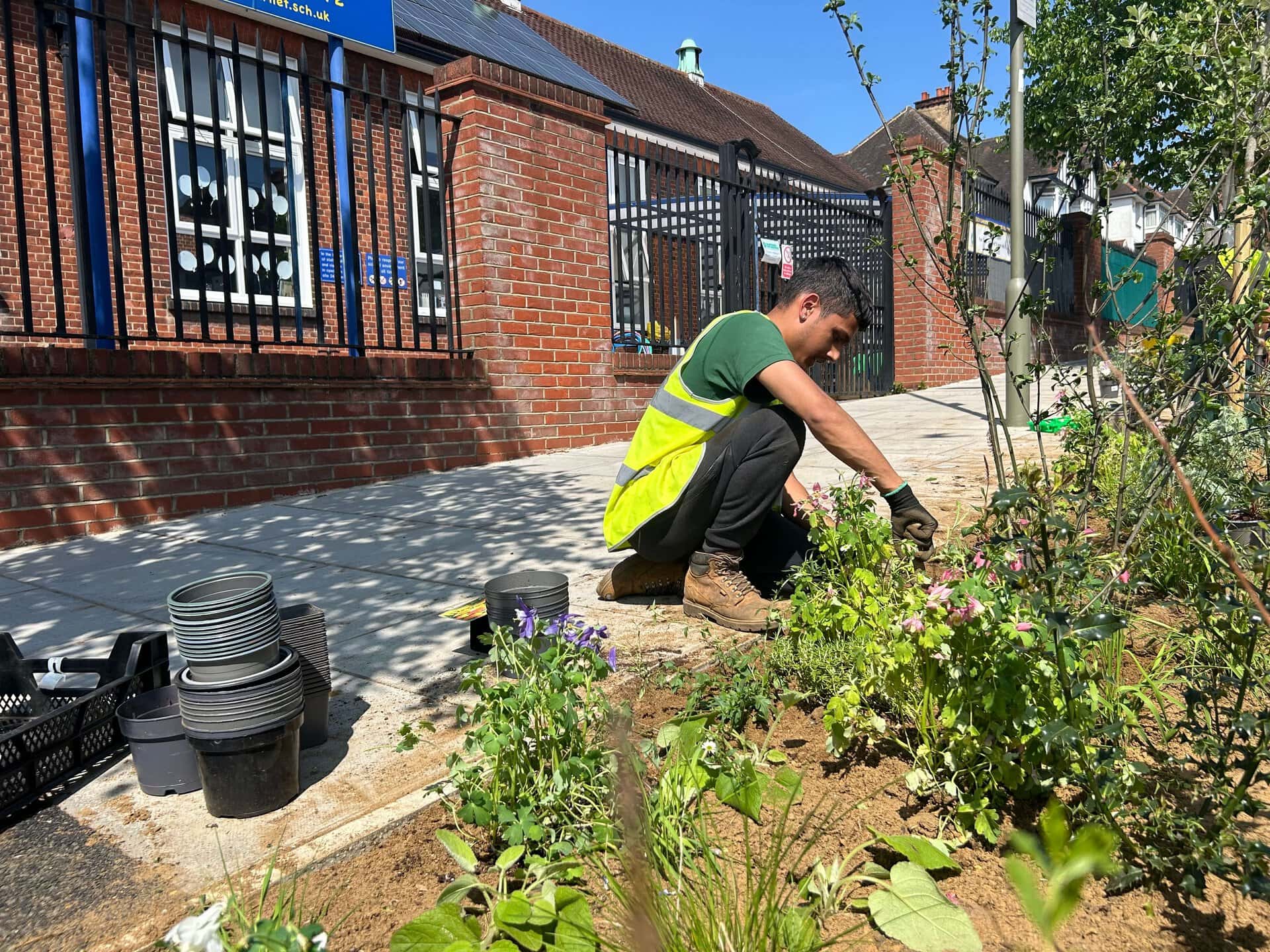 Wessex Gardens School SuDS