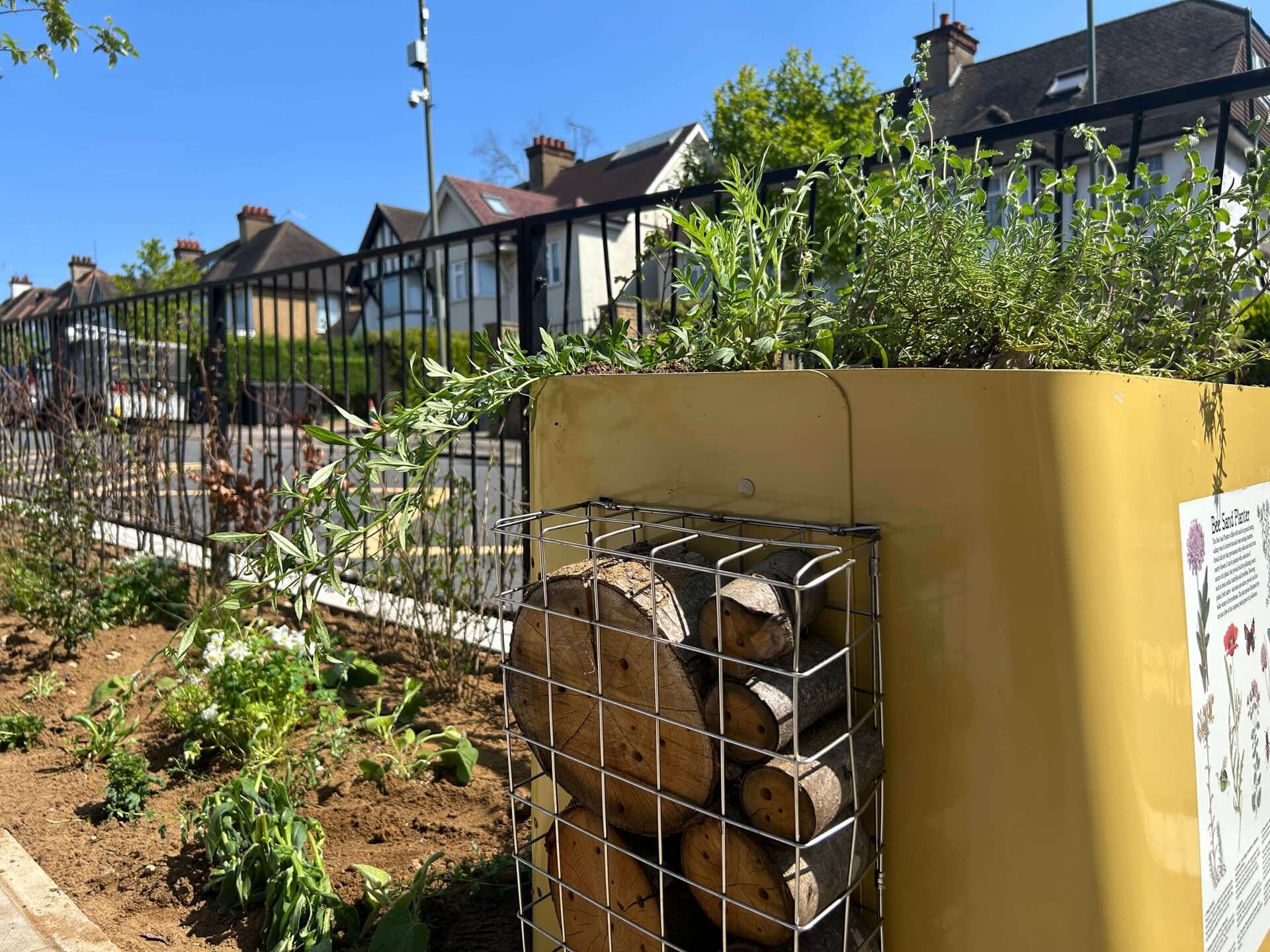 Wessex Gardens School SuDS
