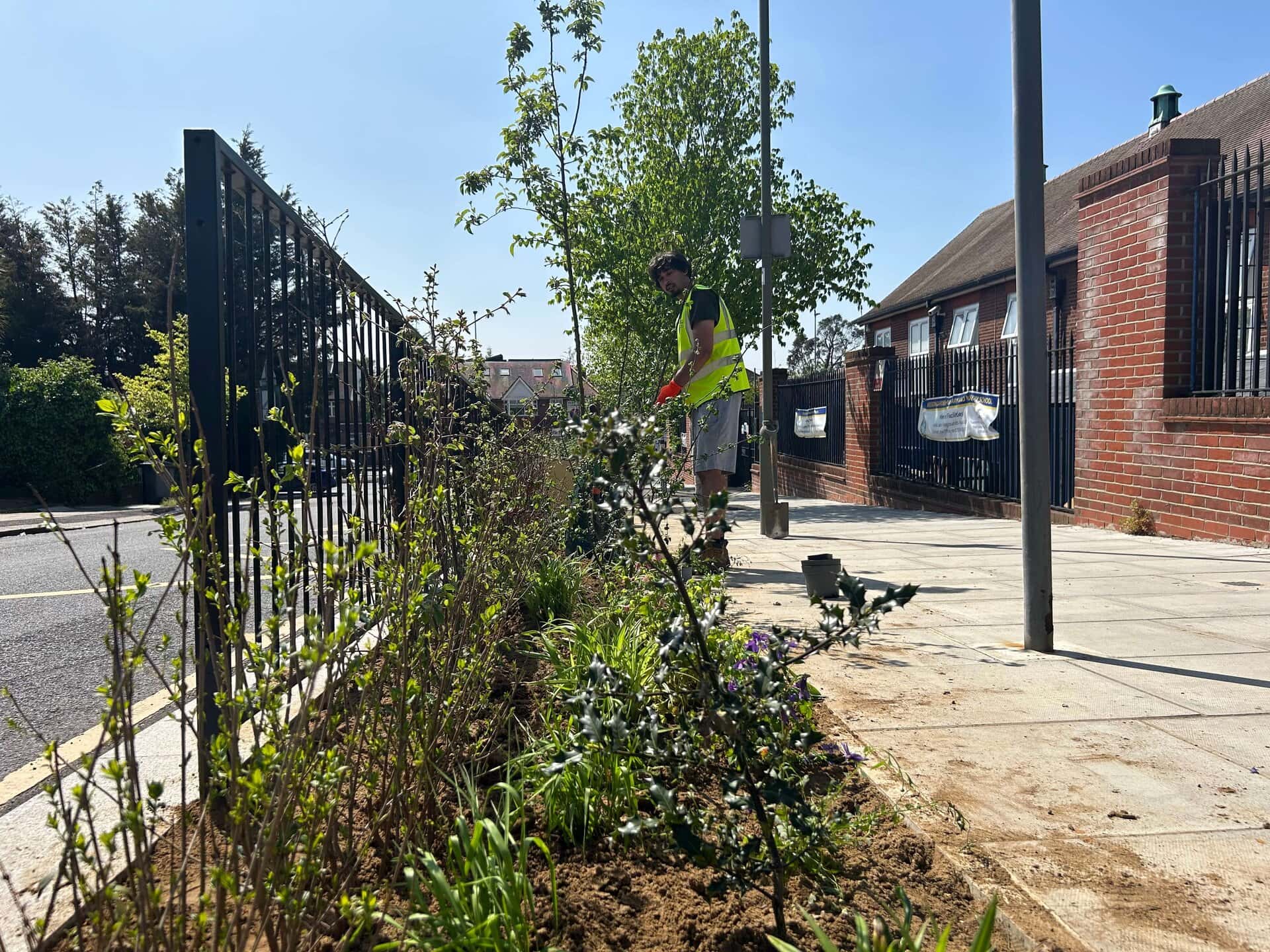 Wessex Gardens School SuDS