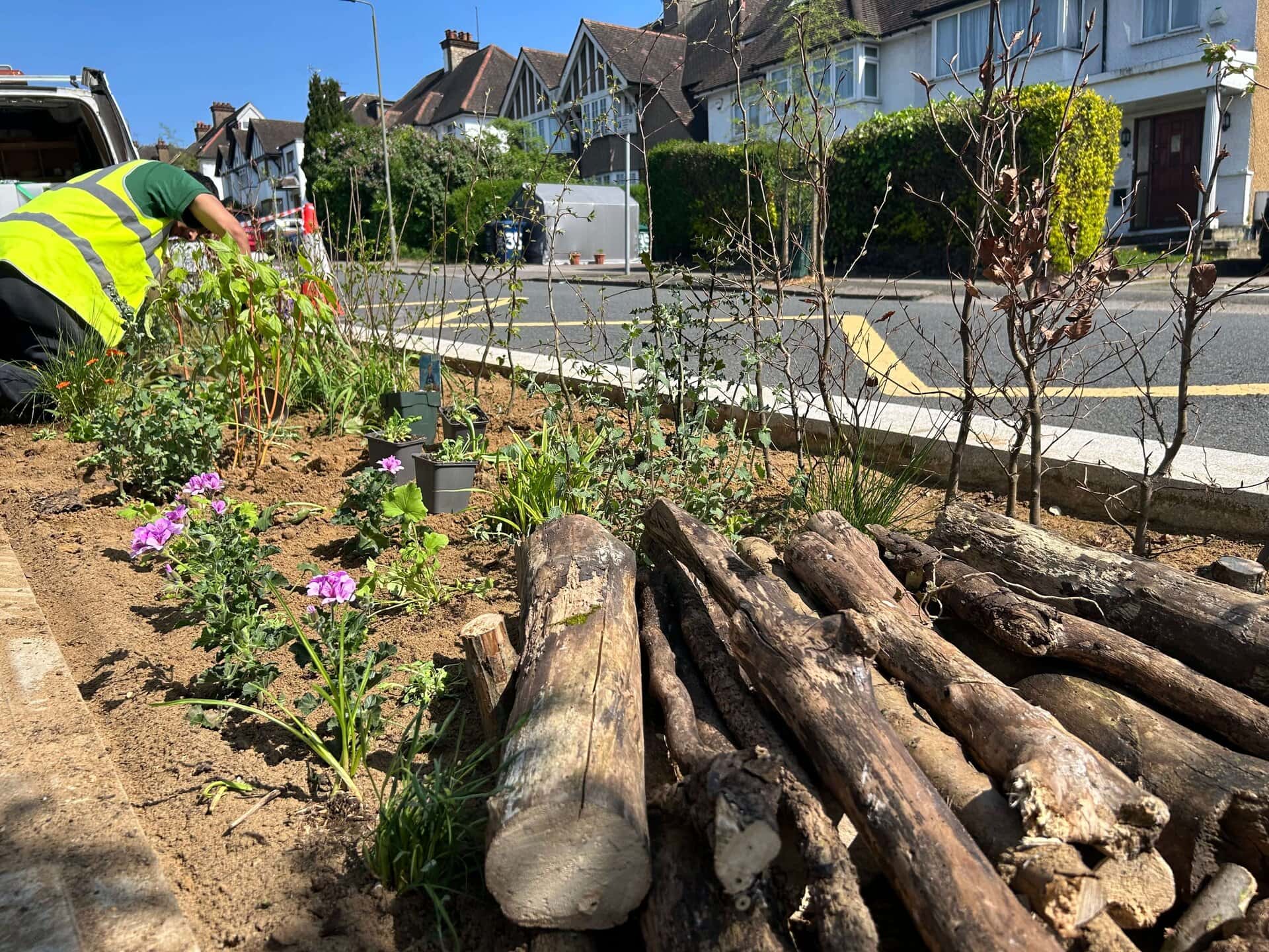 Wessex Gardens School SuDS