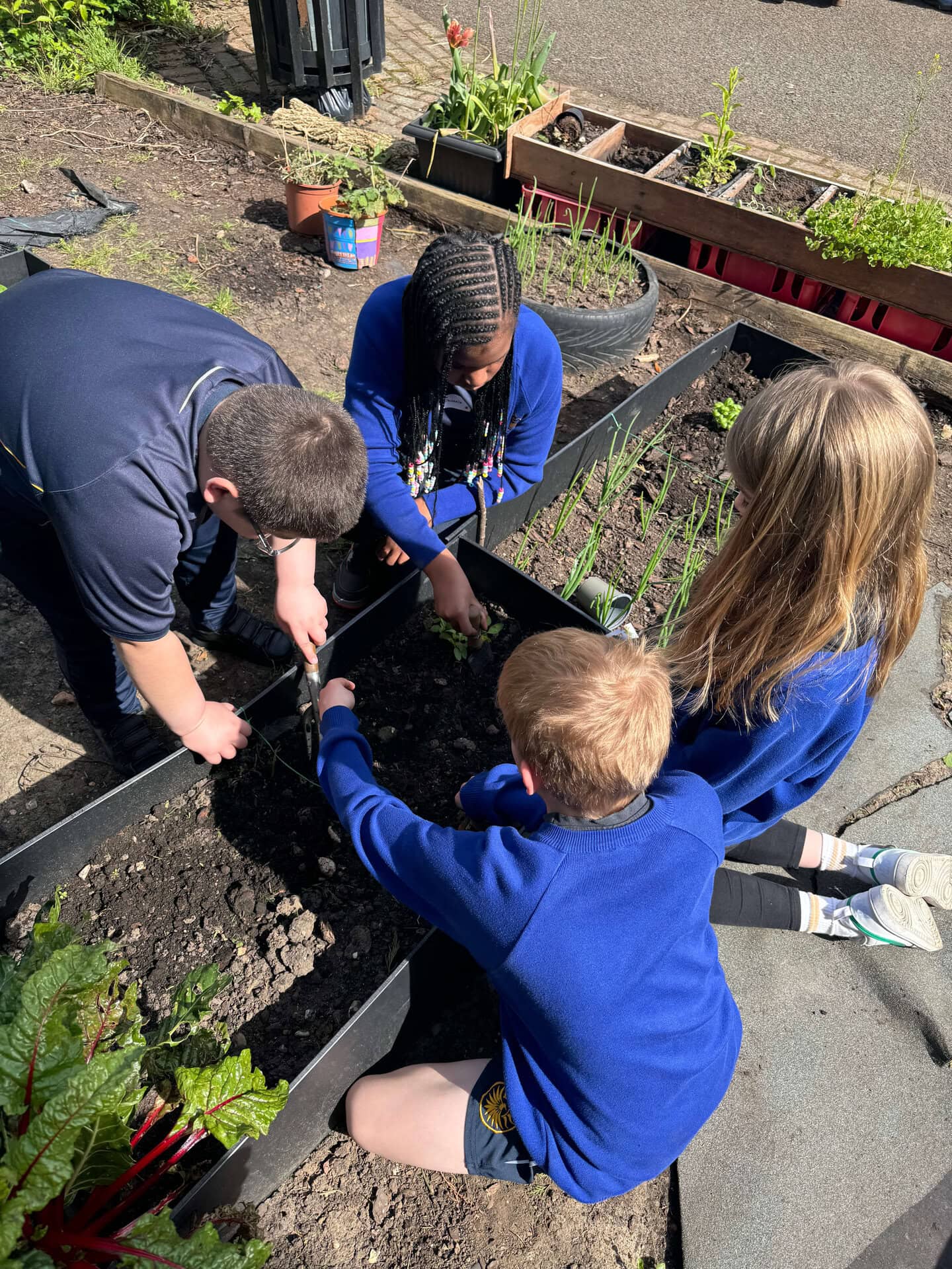 Nature Workshops