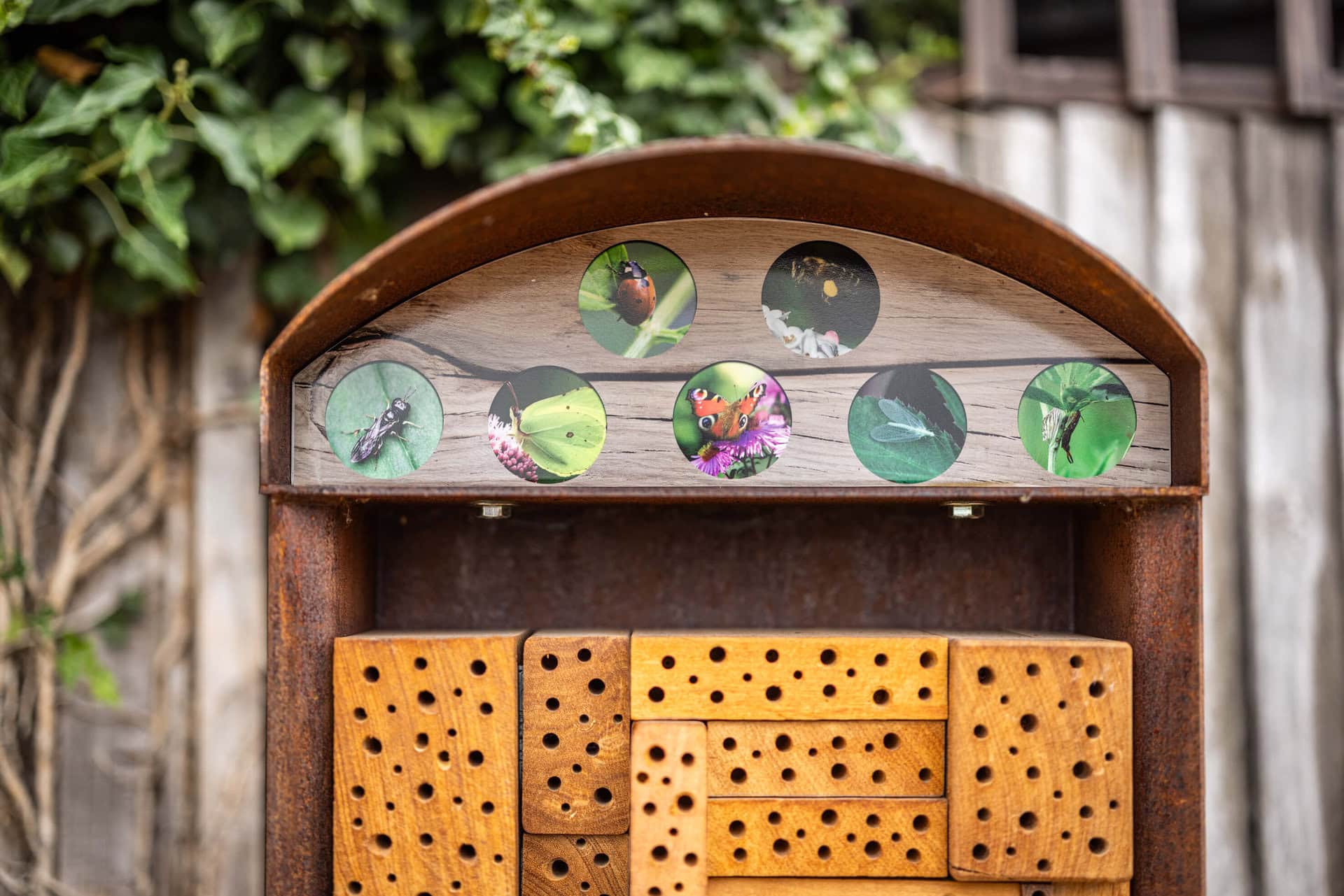 Thornton Heath Nature Garden