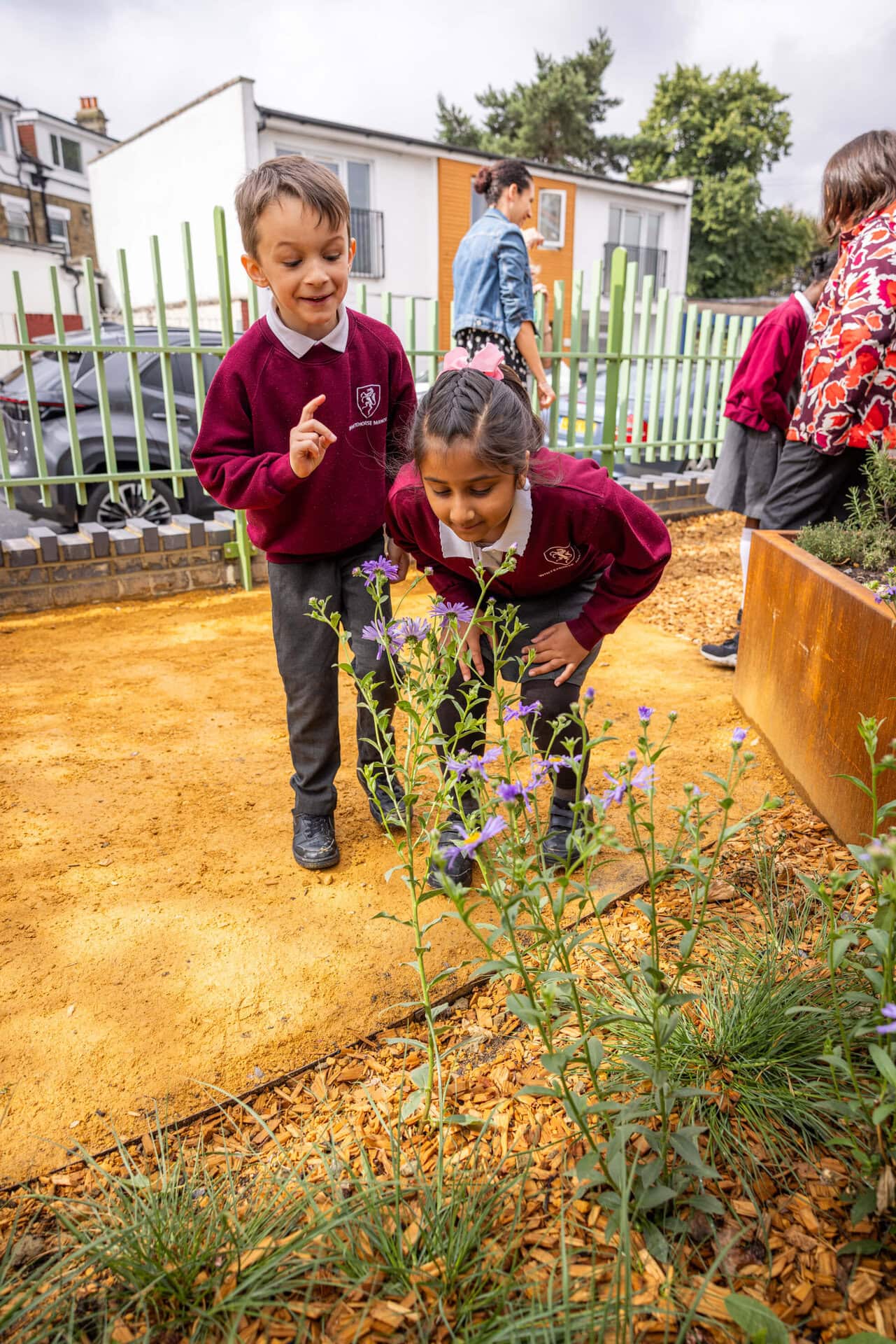 Thornton Heath Nature Garden