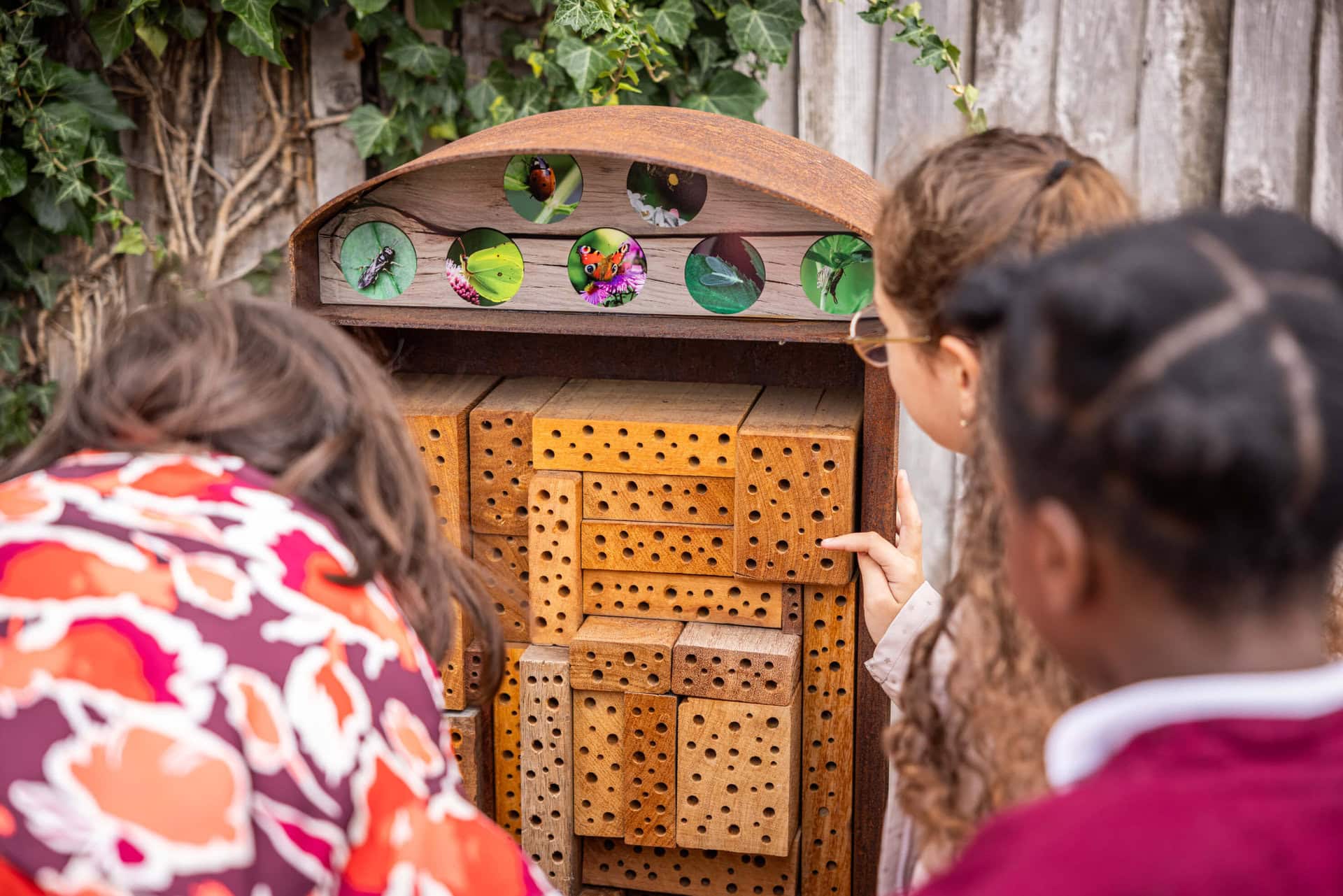 Thornton Heath Nature Garden