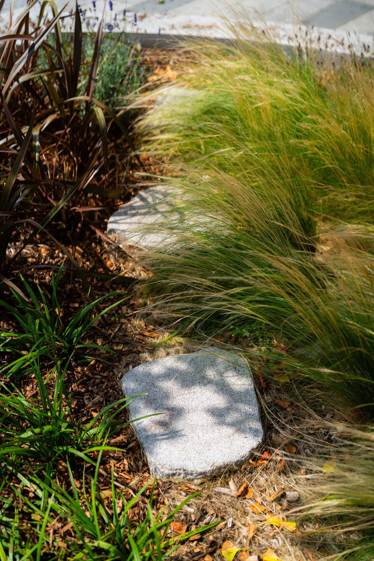 Juniper Pocket Park
