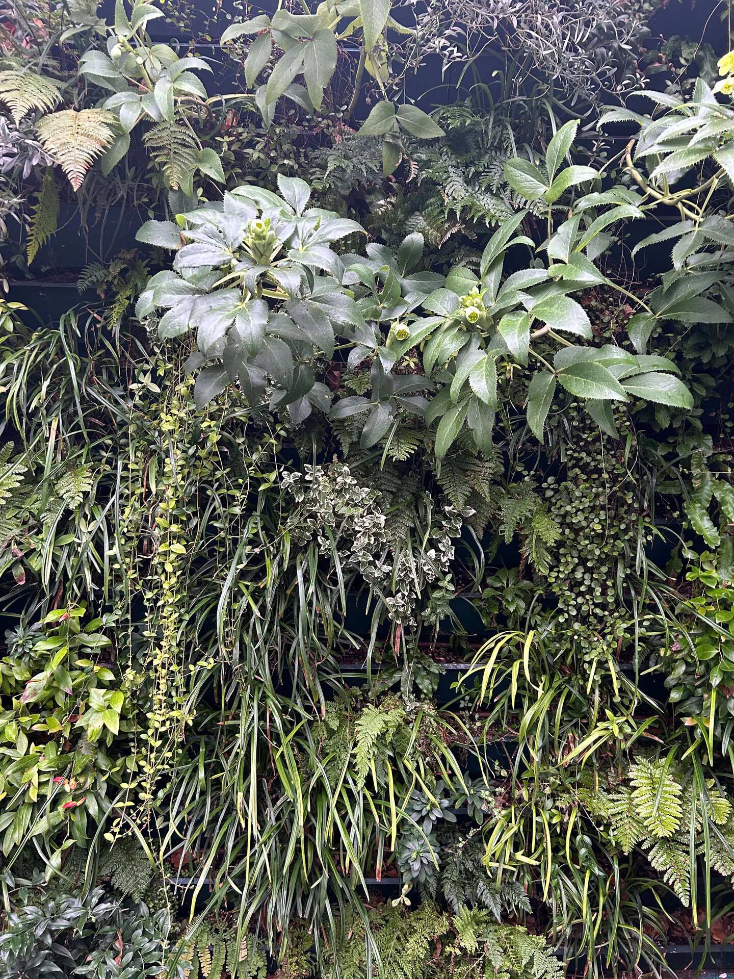 Lancaster West Living Walls