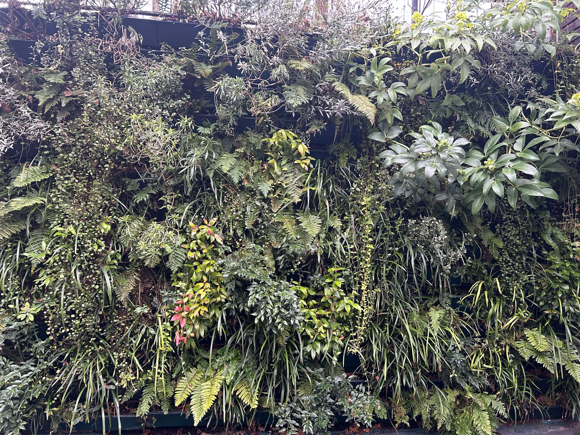 Lancaster West Living Walls