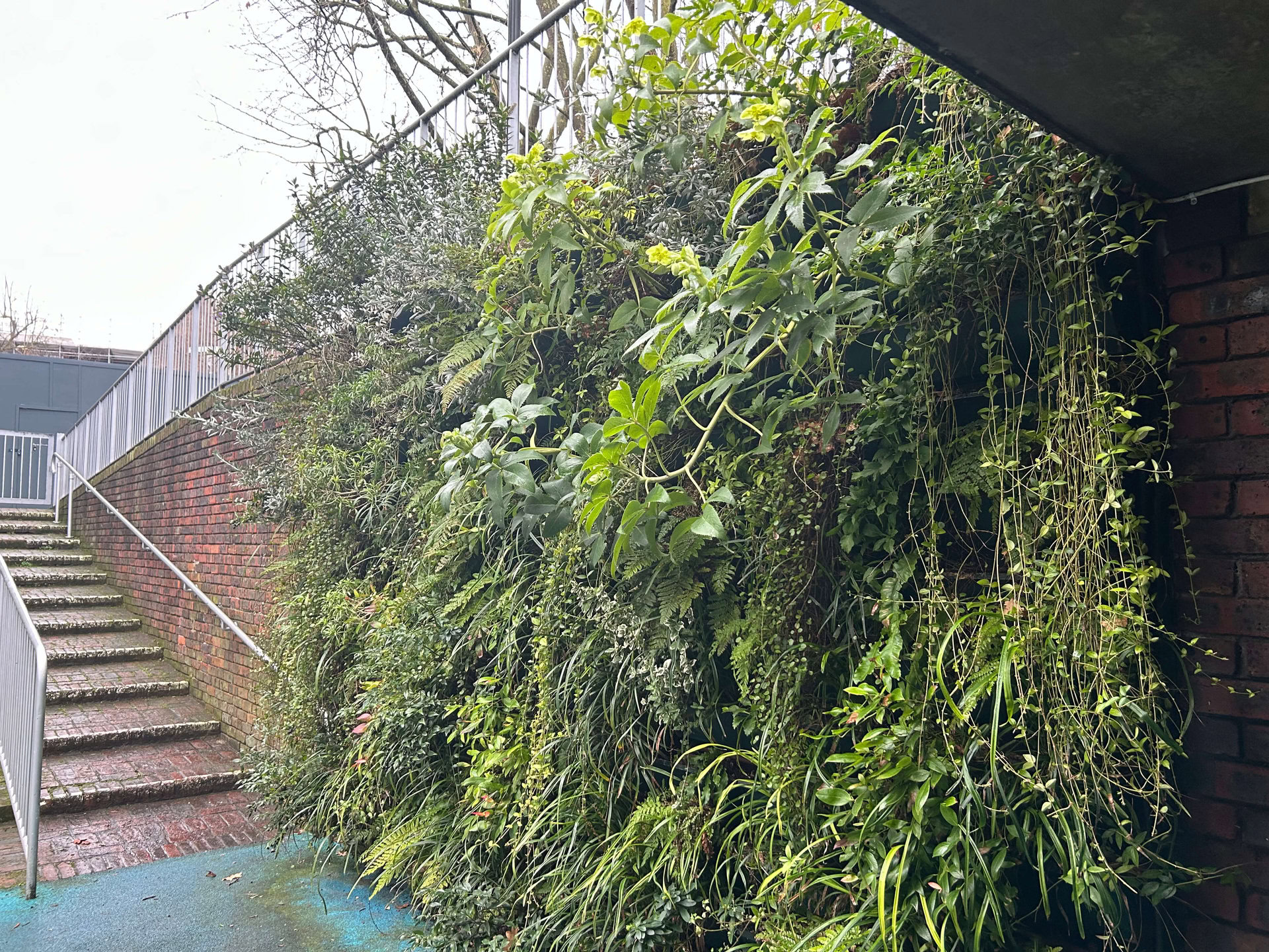 Lancaster West Living Walls