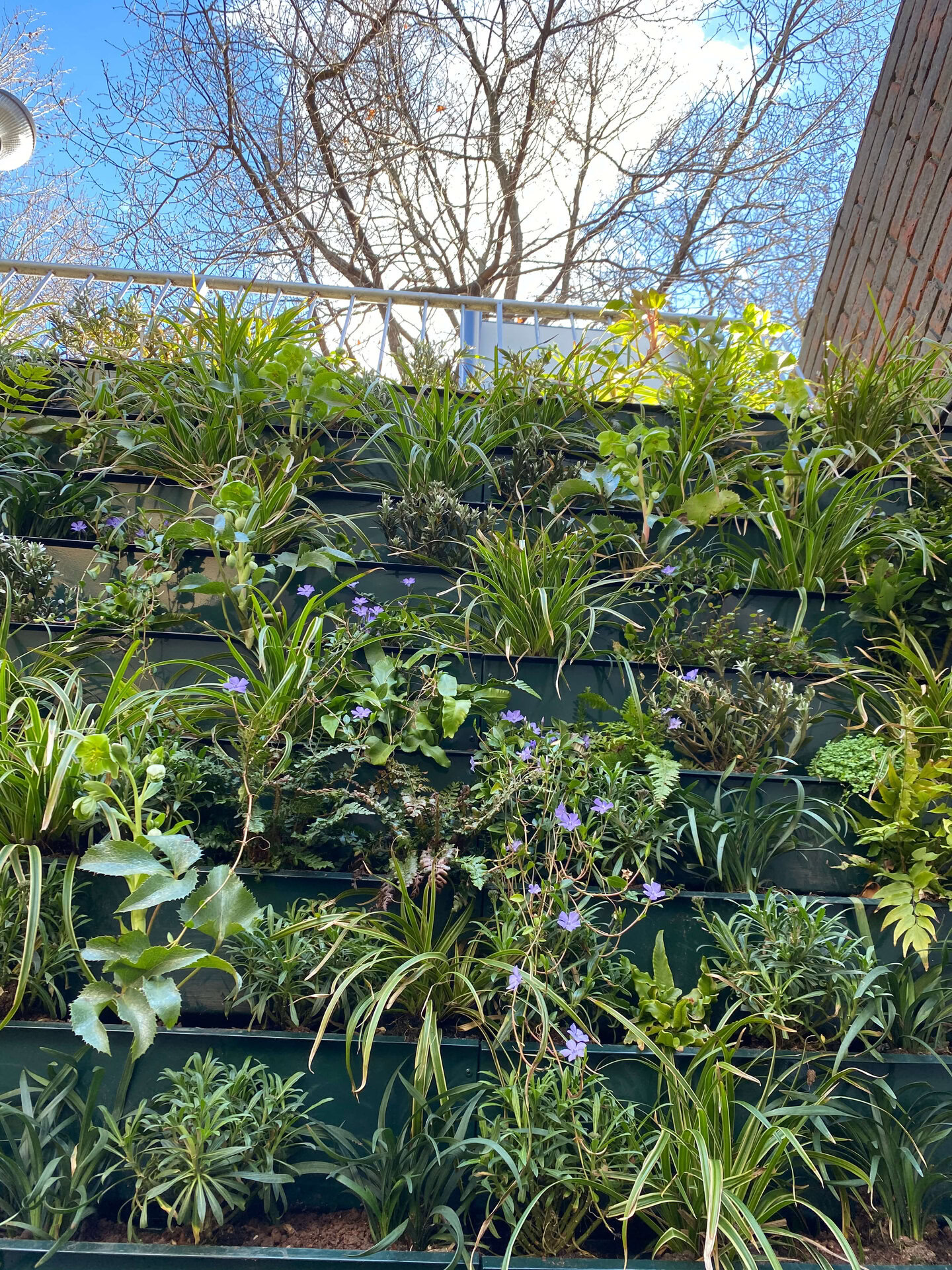 Lancaster West Living Walls